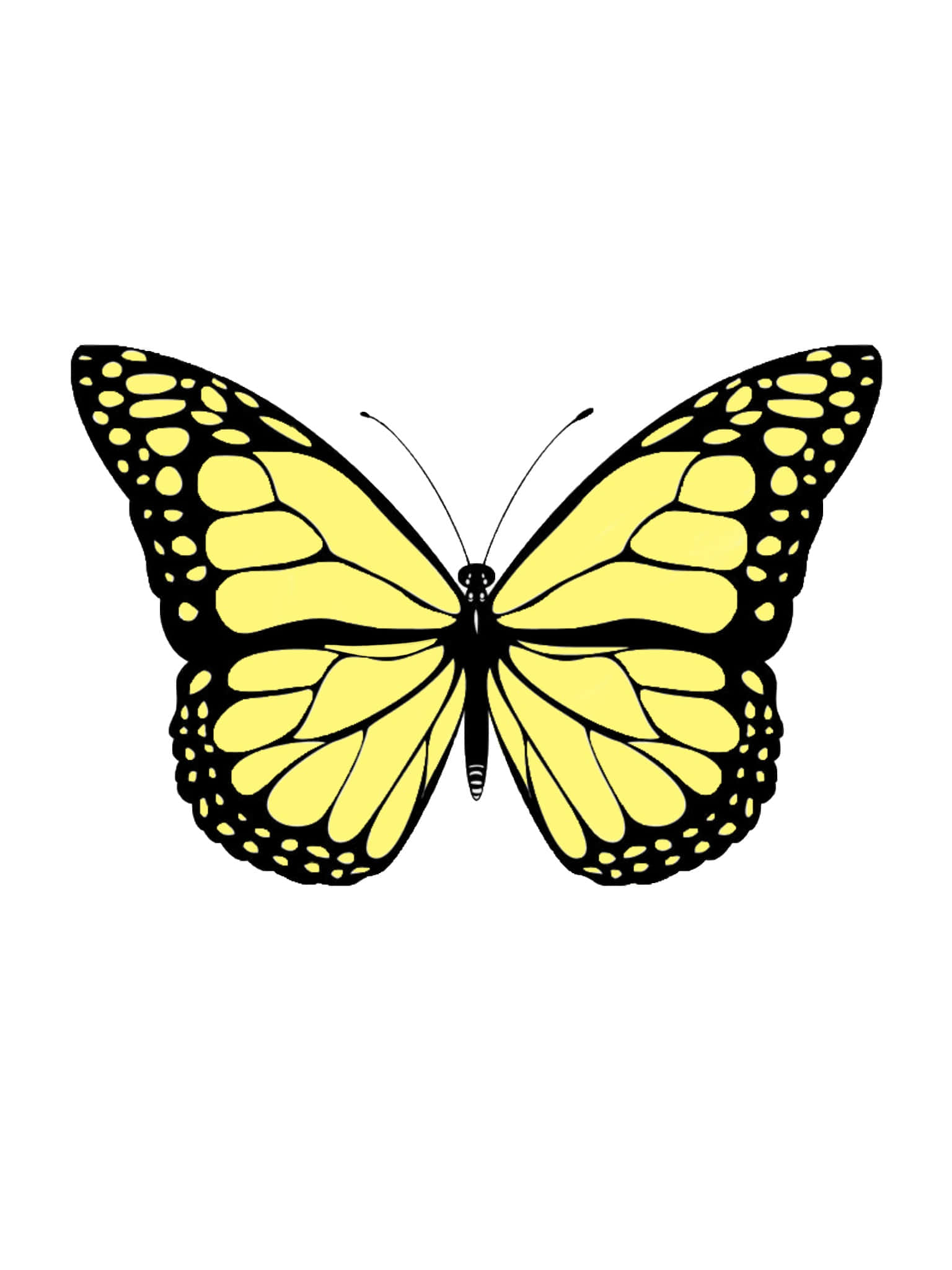 cute yellow butterflies, bright yellow butterfly, black spots, Full HD Phone Wallpaper