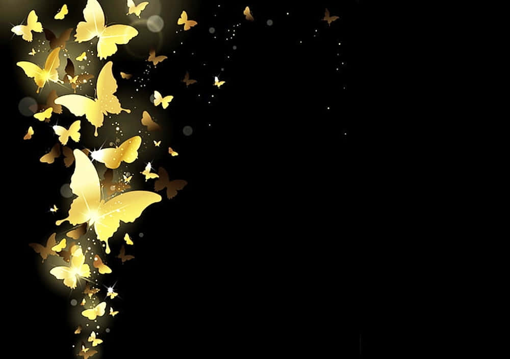 cute yellow butterflies, golden butterflies, stark black background, SD Desktop Wallpaper
