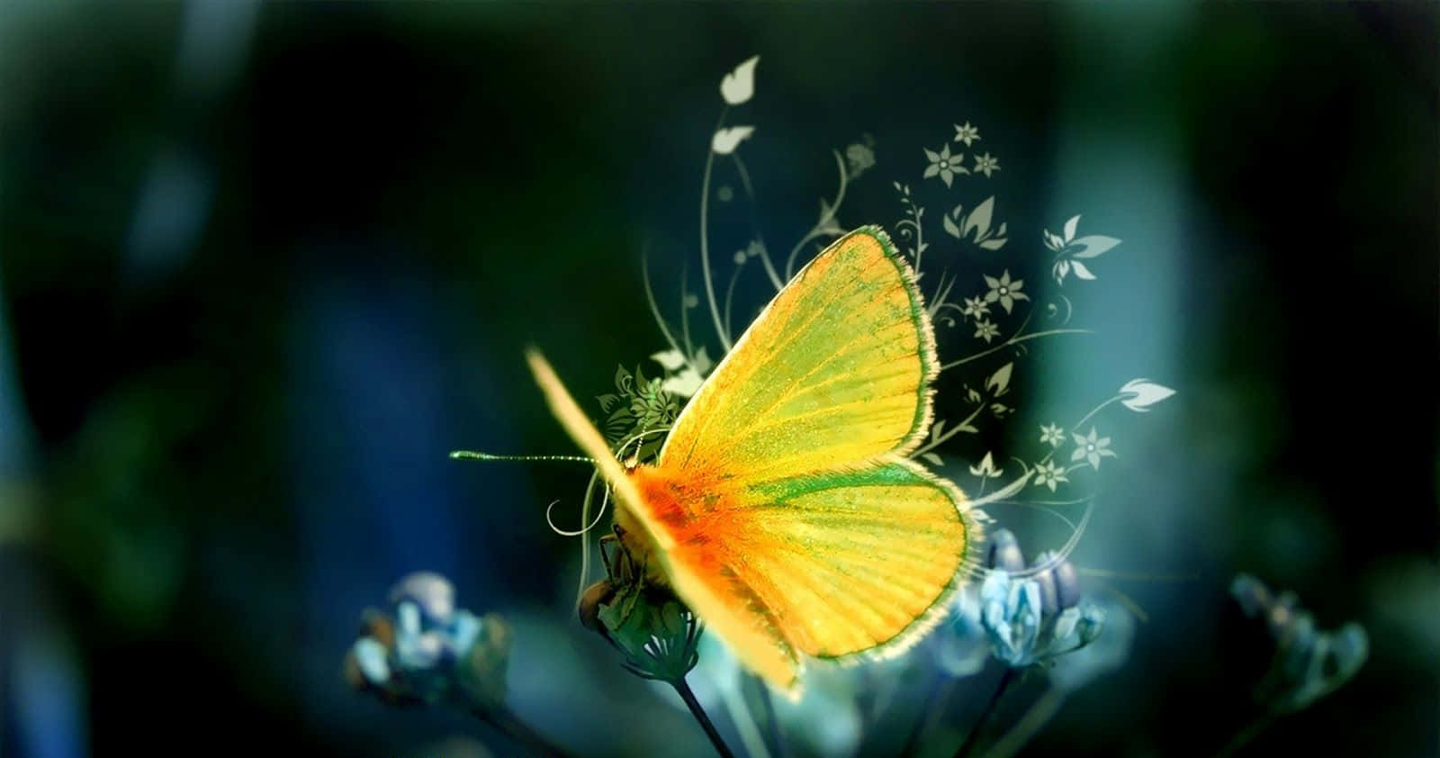 Cute Yellow Butterflies, vibrant yellow butterfly, green edges, HD Desktop Wallpaper