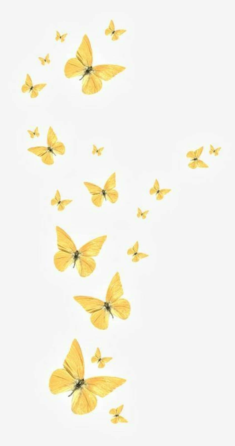 cute yellow butterflies, golden butterflies, off-white background, HD Phone Wallpaper