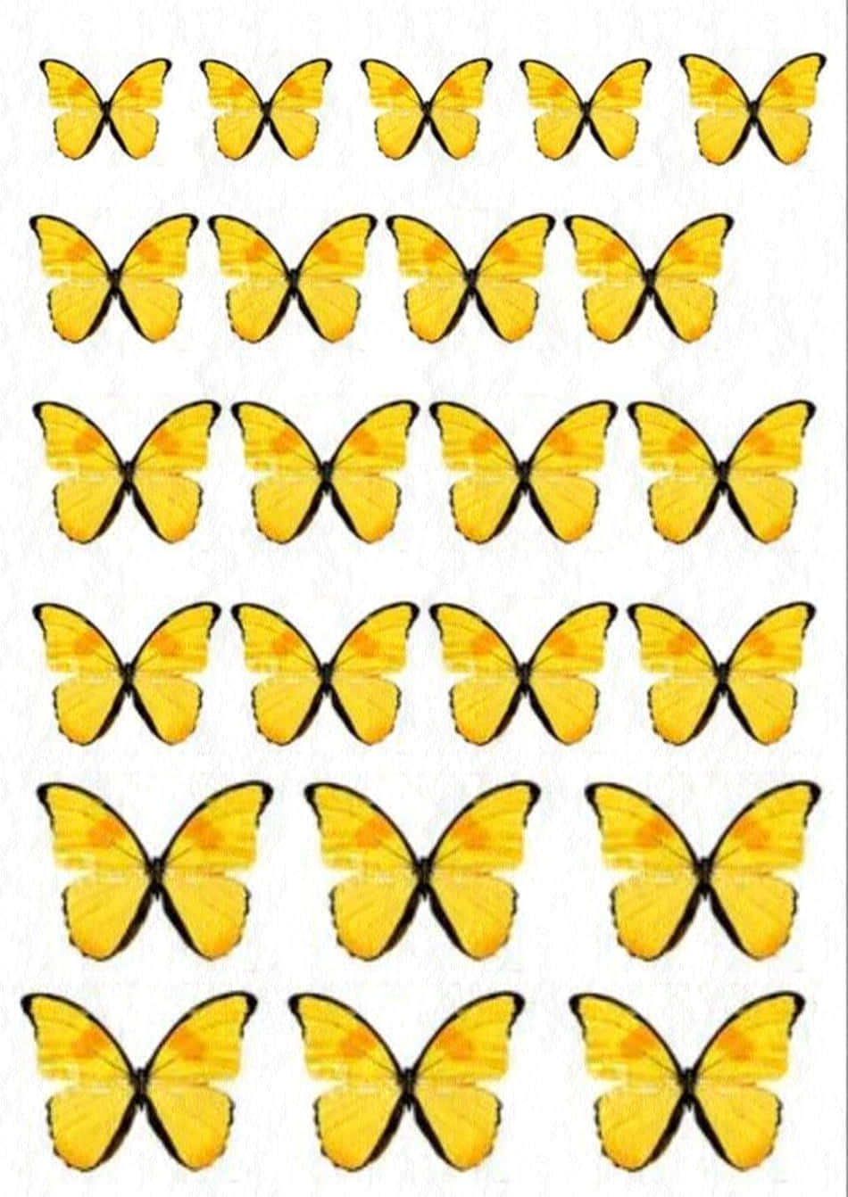 cute yellow butterflies, yellow, black outlines, HD Phone Wallpaper