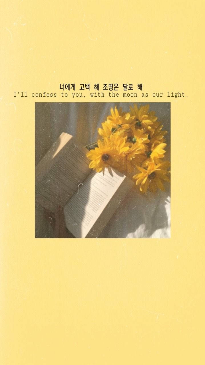 dainty book, cute yellow flowers, sunlit yellow sunflowers, HD Phone Wallpaper