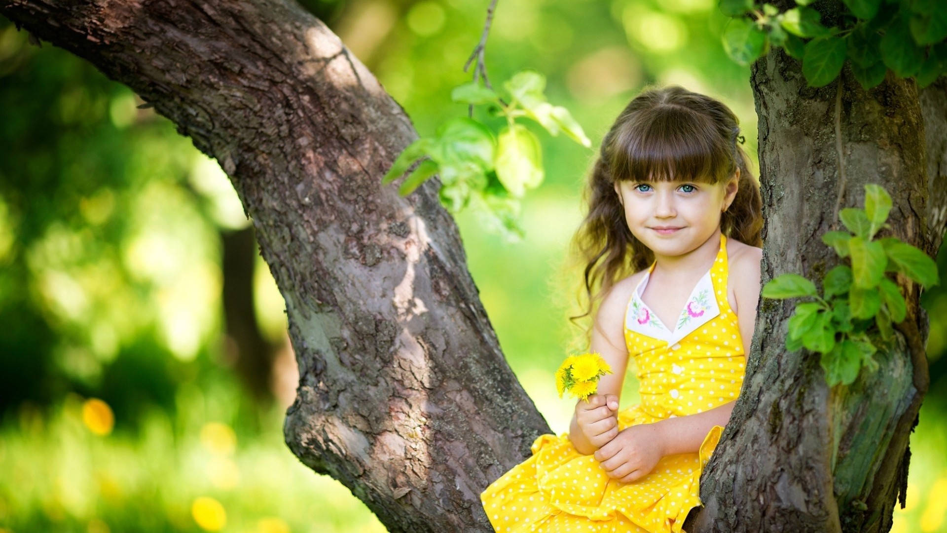 yellow polka-dot dress, dandelion, sunlit garden, Full HD Desktop Wallpaper
