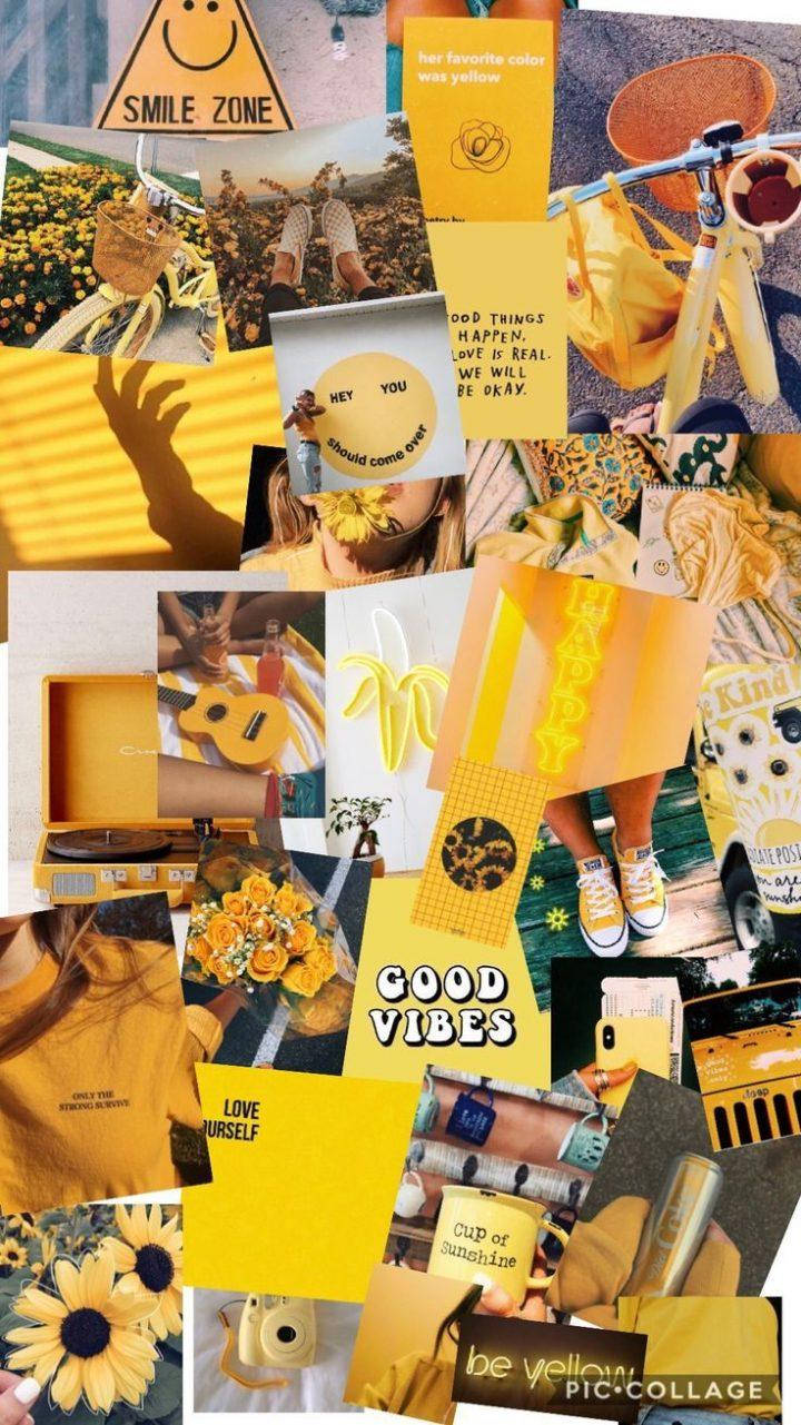 Aesthetic Collage Yellow, vibrant yellow, sunflowers, HD Phone Wallpaper