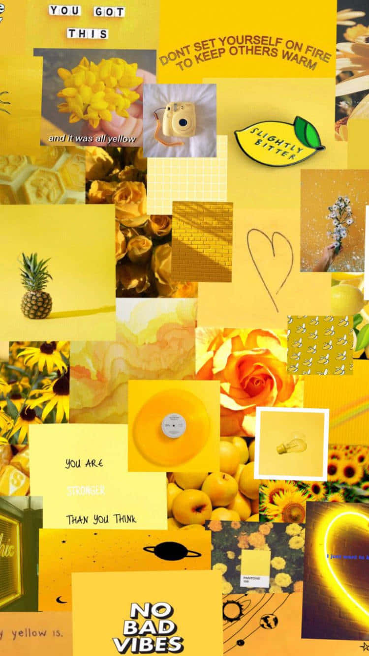 sunflowers, pineapples, lemons, HD Phone Wallpaper