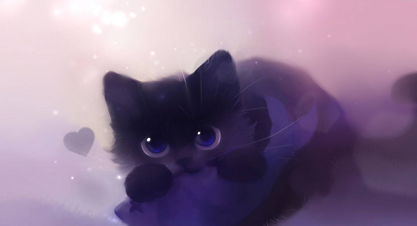 fluffy black kitten, big blue eyes, purple blanket, HD Desktop Wallpaper