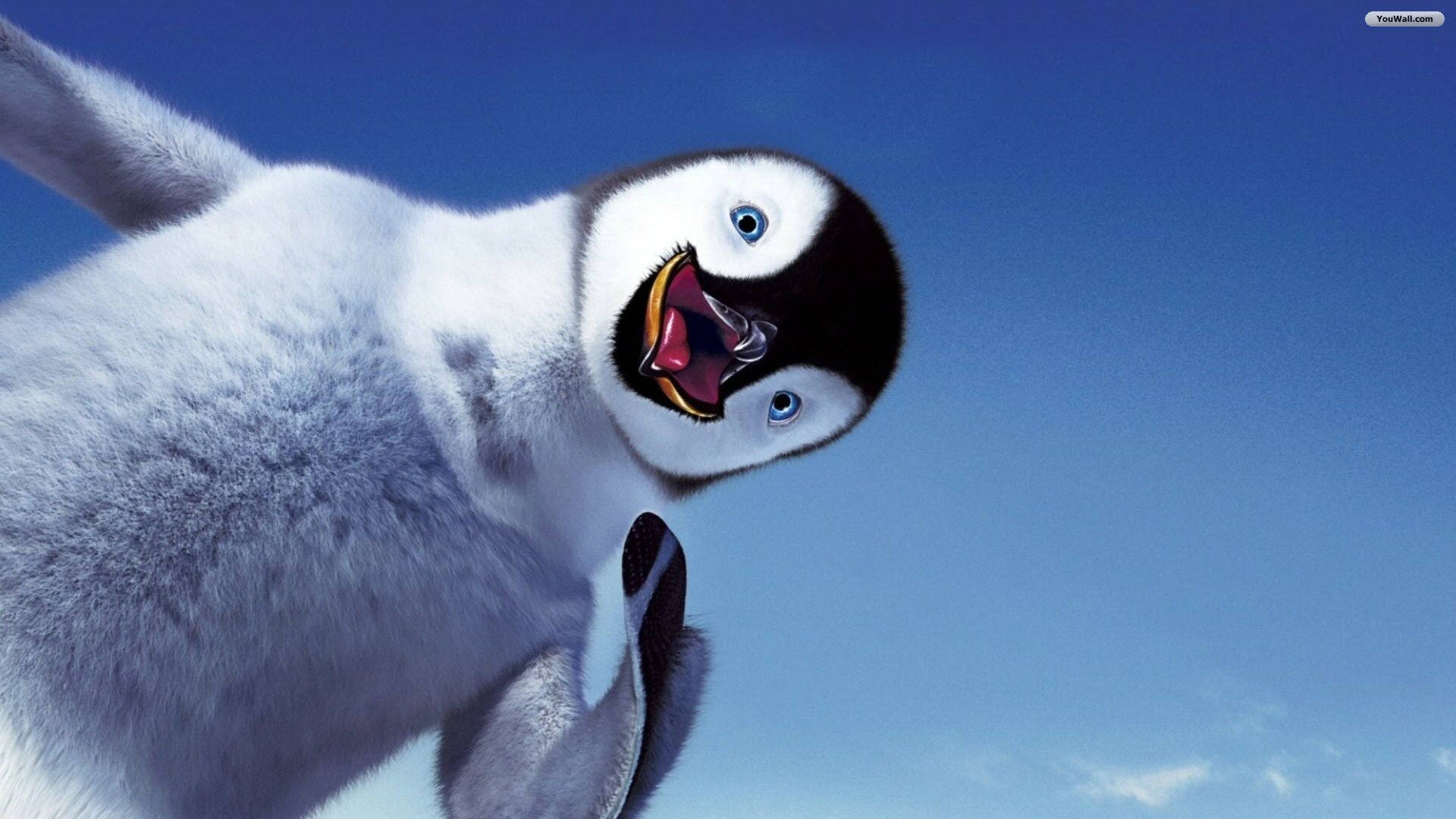 icy penguin, fluffy baby penguin, bright blue eyes, Full HD Desktop Wallpaper