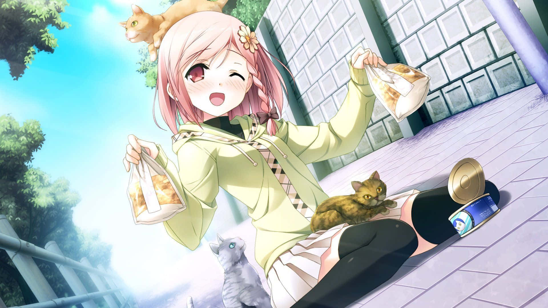Cutecore, pink hair, three cats, Full HD Desktop Wallpaper