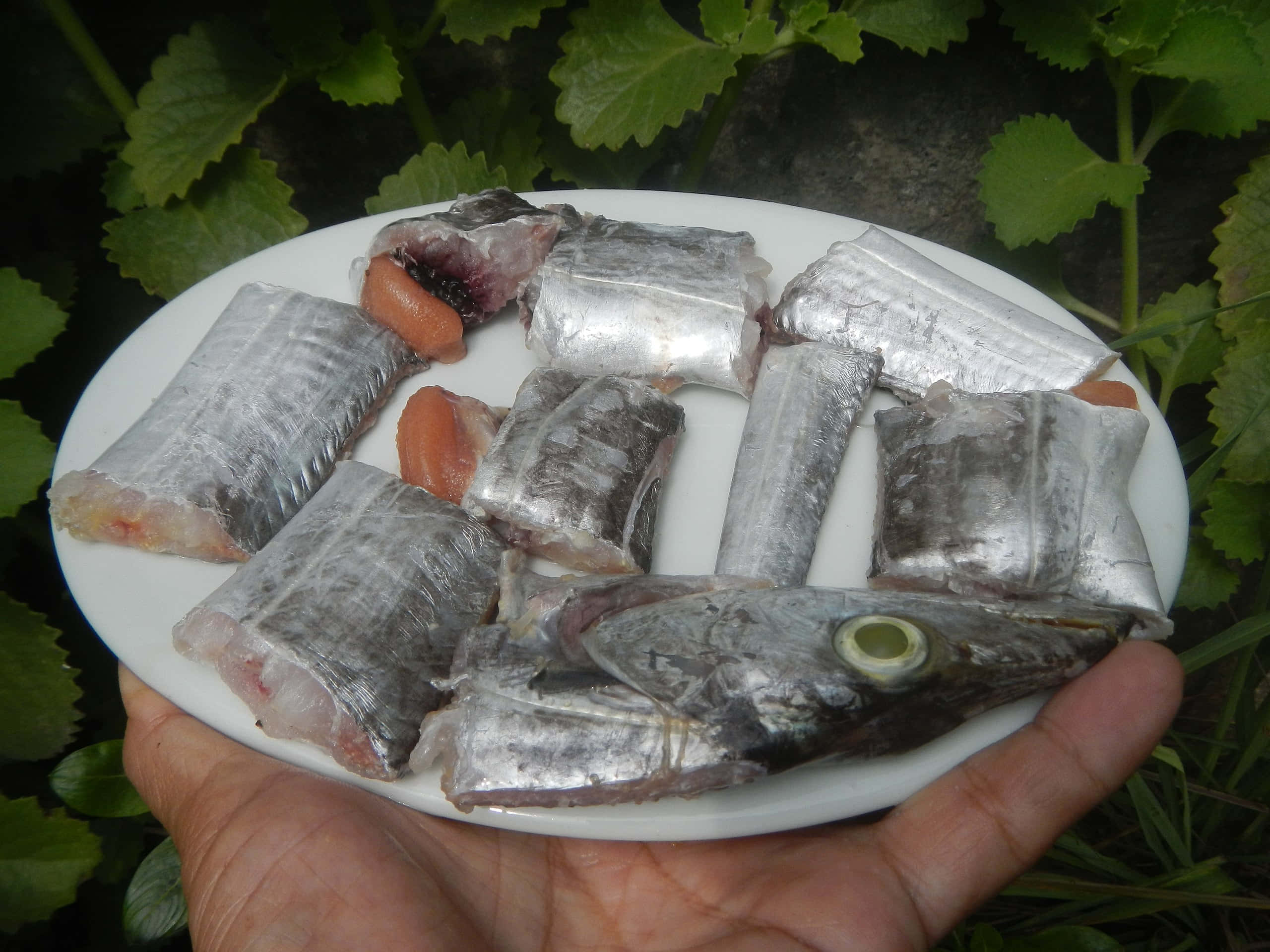 Cutlassfish, sliceson plate, white plate, 2K Desktop Wallpaper