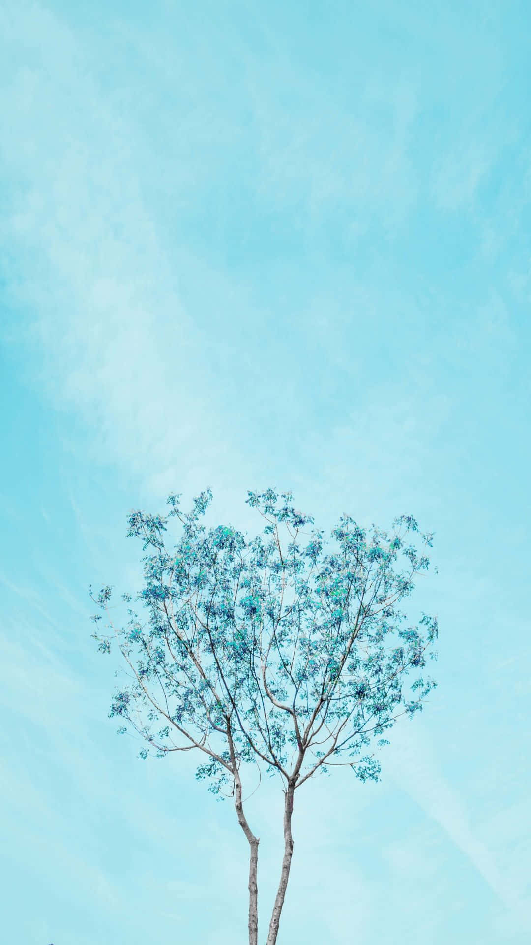 Cyan Aesthetic, single tree, blue-green leaves, Full HD Phone Wallpaper