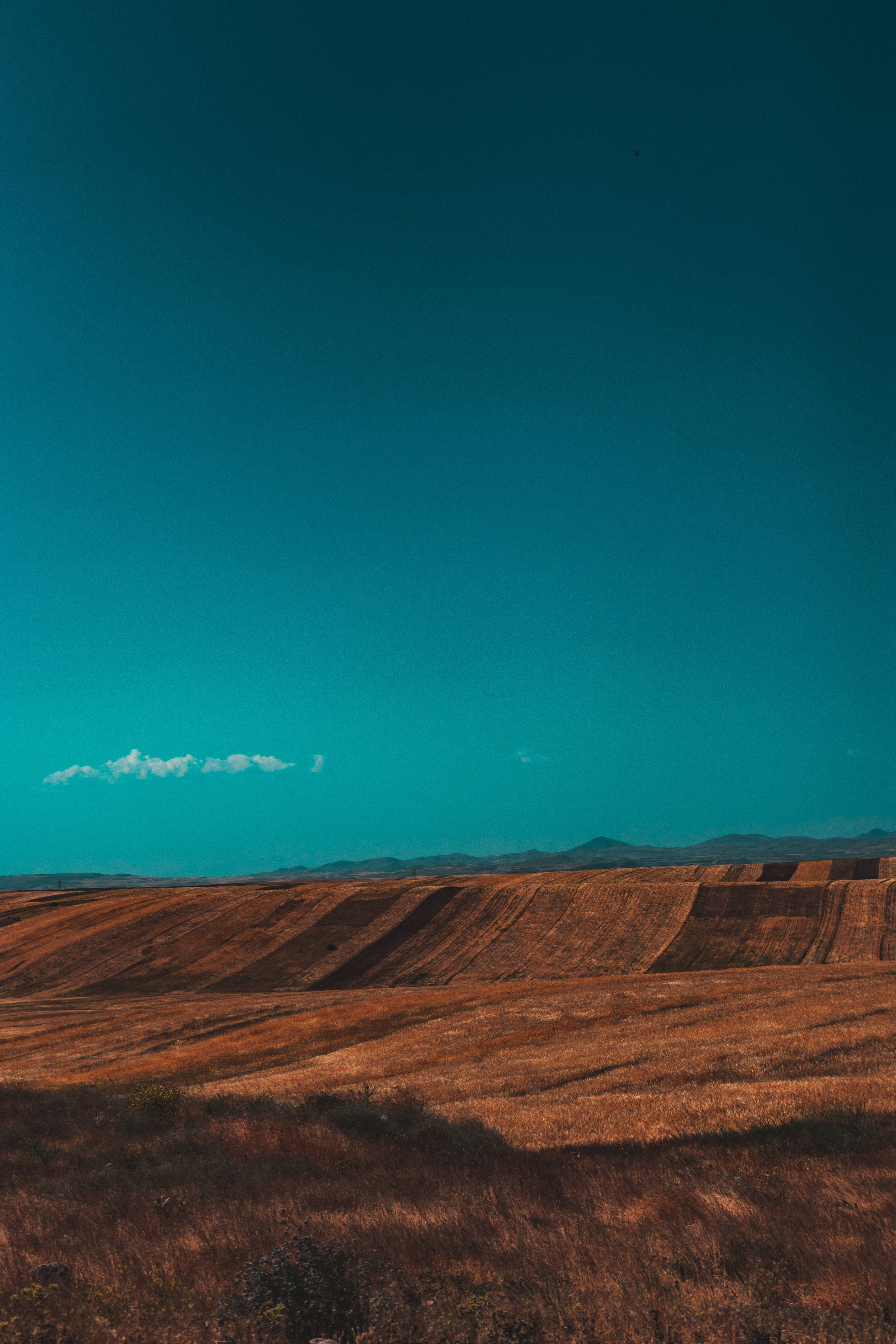 Cyan Sky, Brown Field, golden fields, 5K Phone Wallpaper