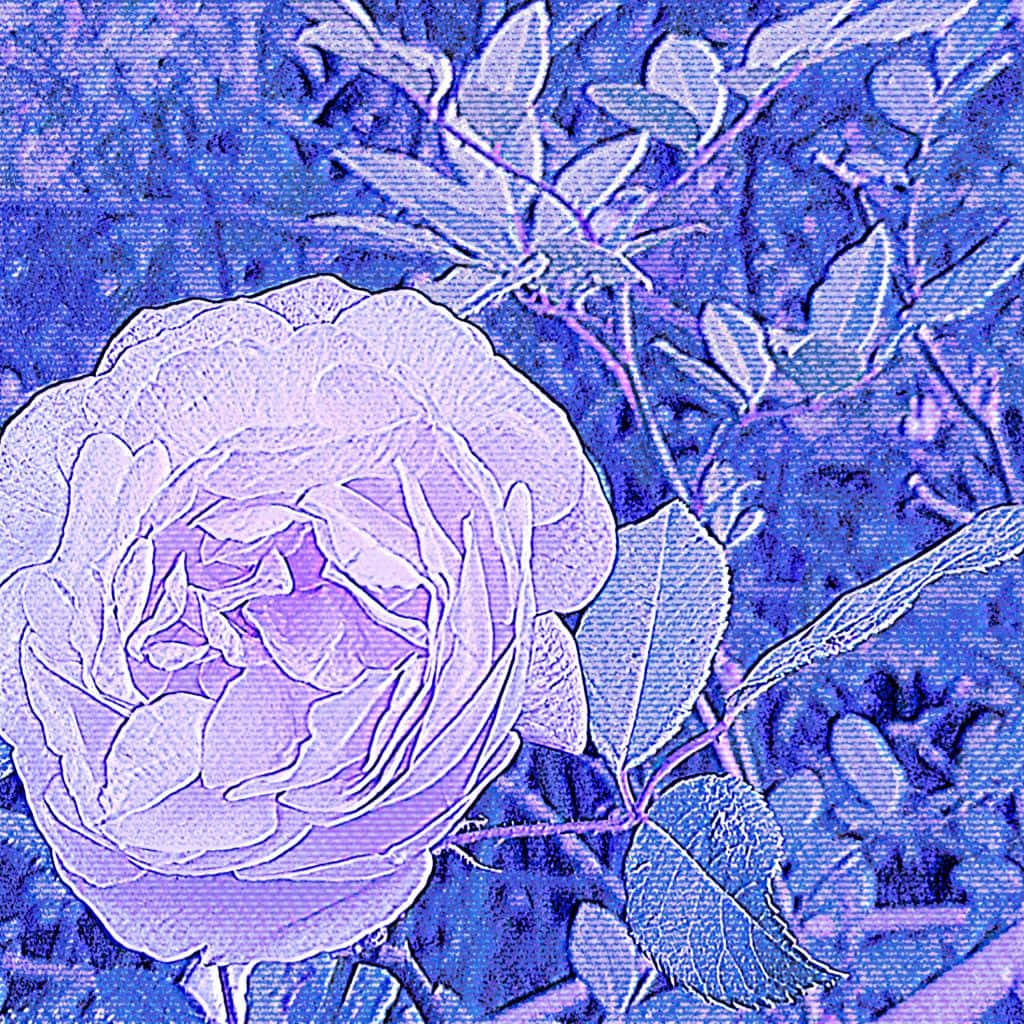 Cyber Purple Rose Y2 K Aesthetic, purple rose, layered petals, SD Desktop Wallpaper