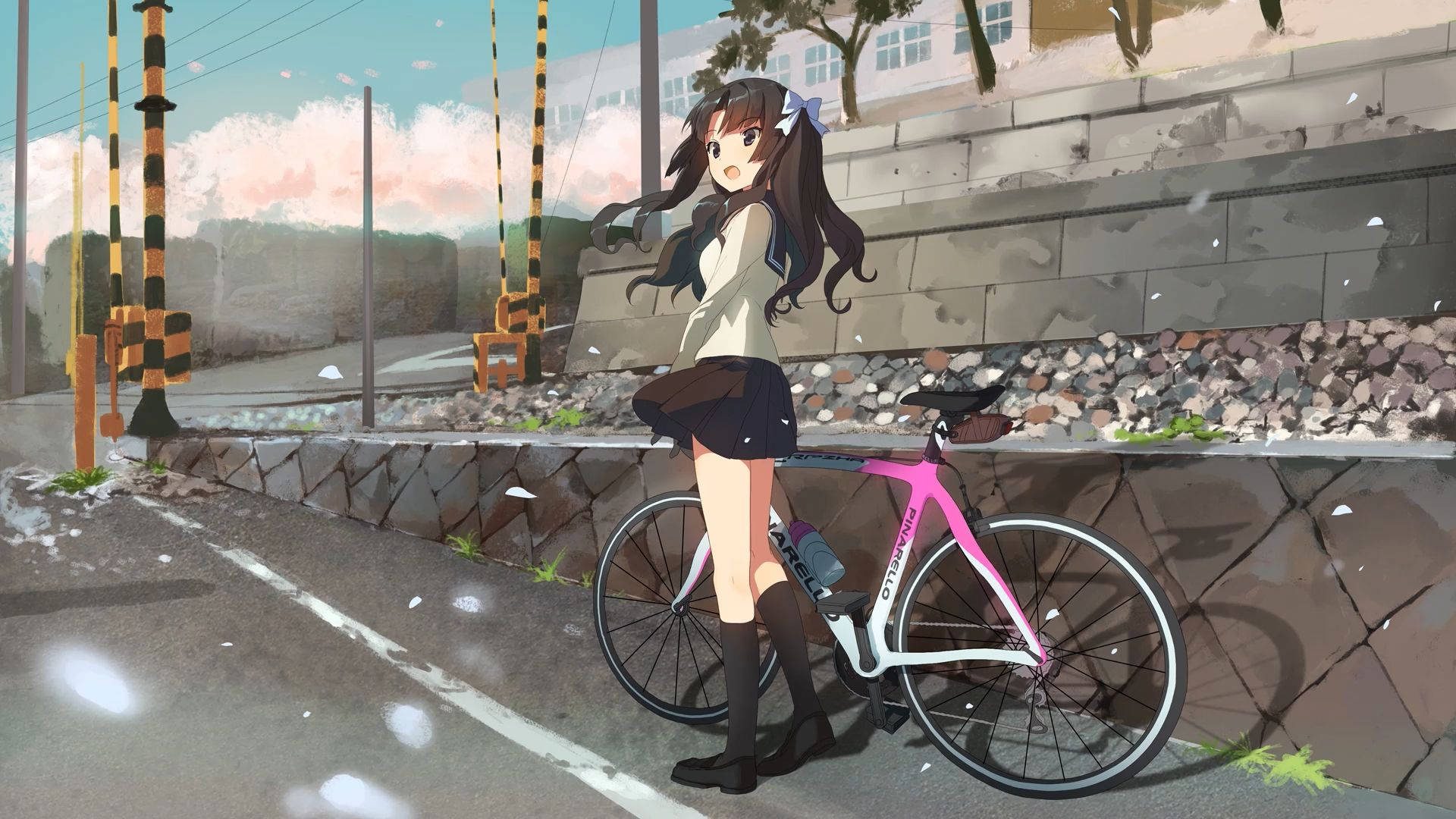 anime girl, long dark hair, pink bicycle, Full HD Desktop Wallpaper