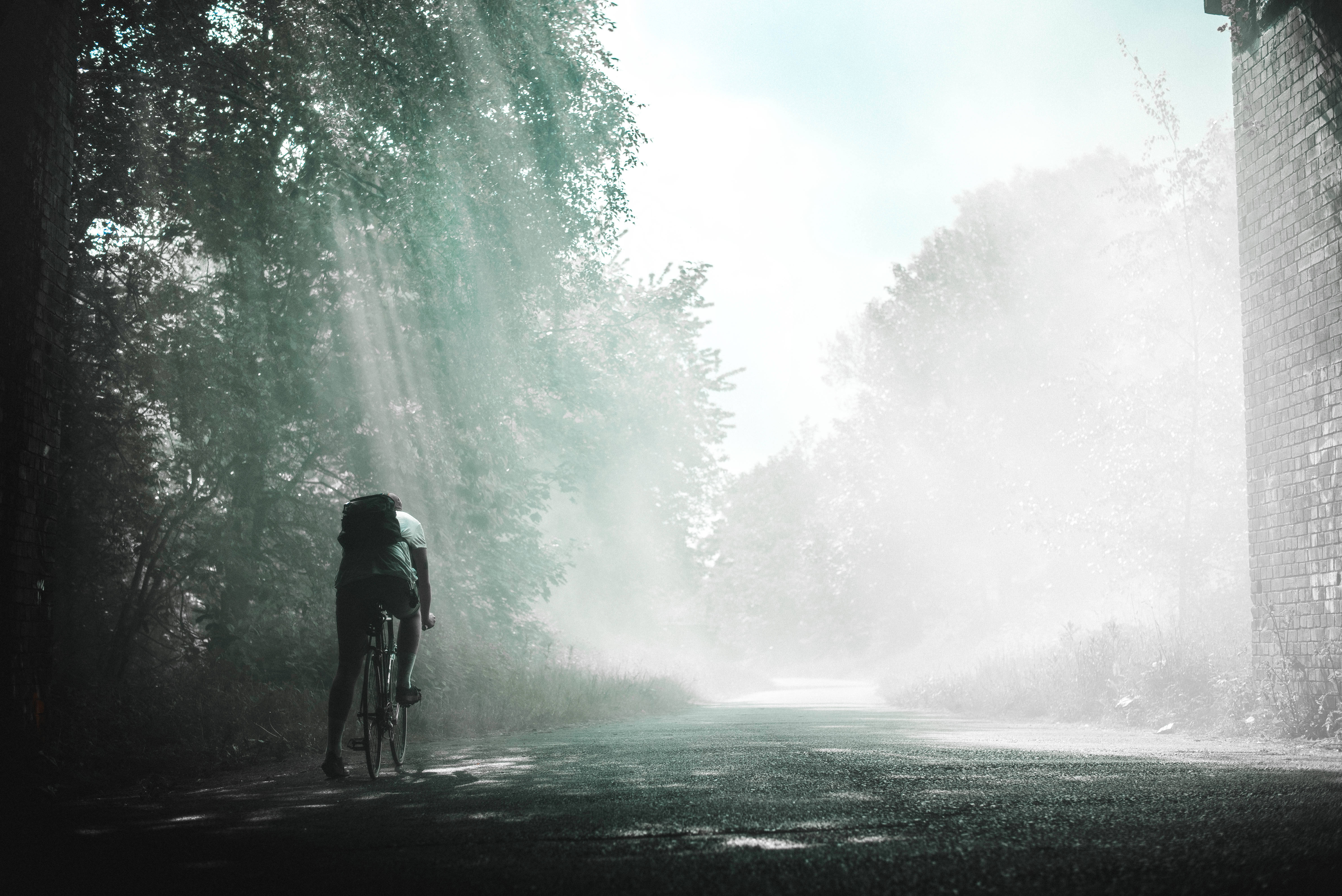 cycling road, sunbeams, misty forest road, 5K Desktop Wallpaper