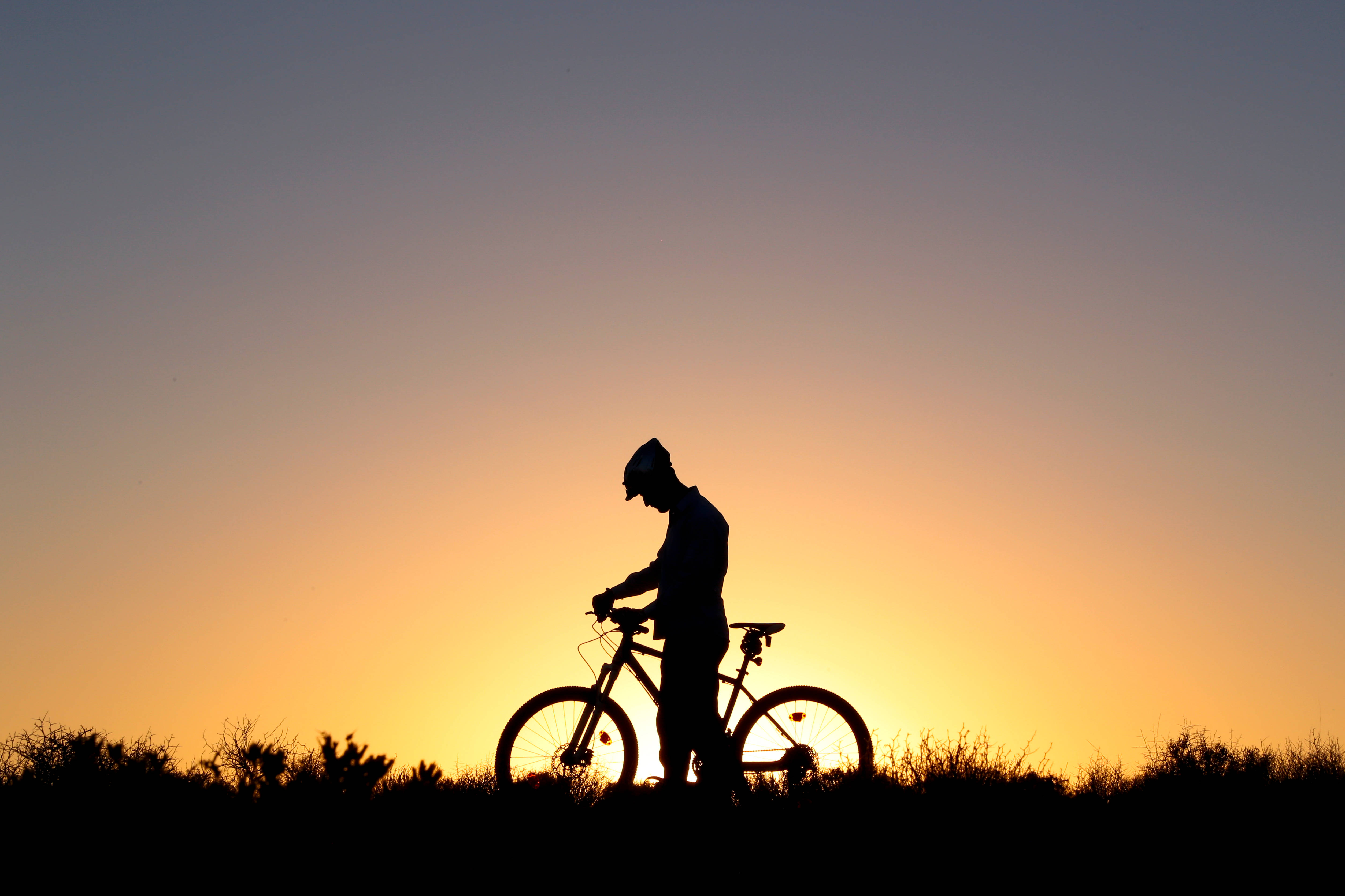 cycling man silhouette, sunset, grassy terrain, 4K Desktop Wallpaper