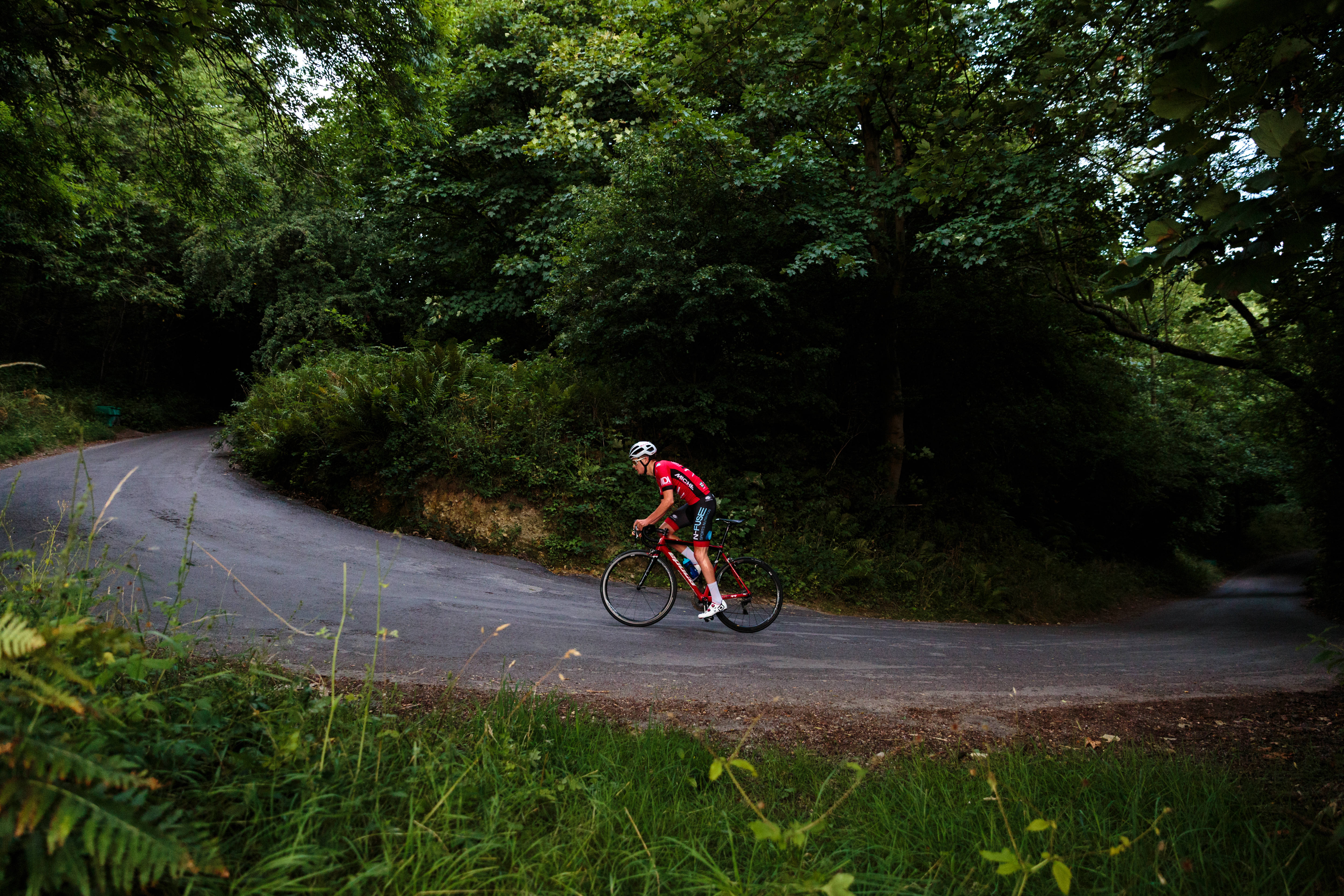 red gear, road bike, winding forest path, 5K Desktop Wallpaper