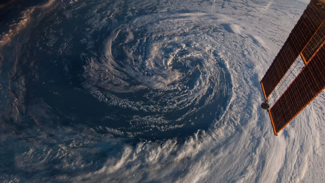 Cyclone