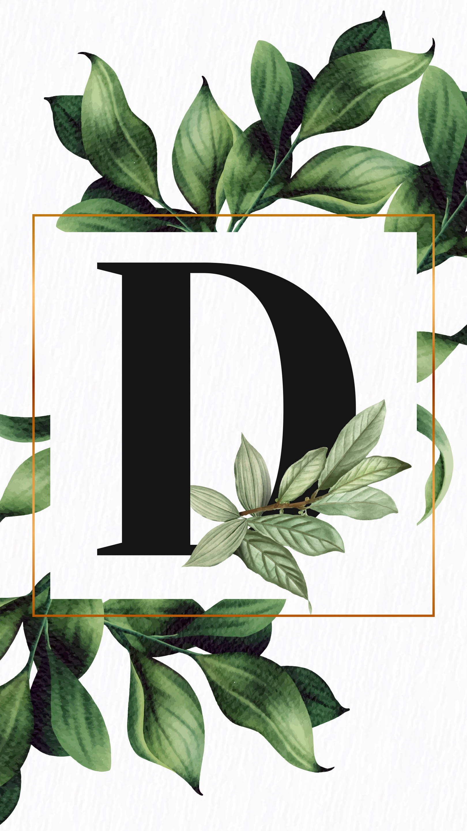 Letter D, tropical plants, lush green leaves, 2K Phone Wallpaper