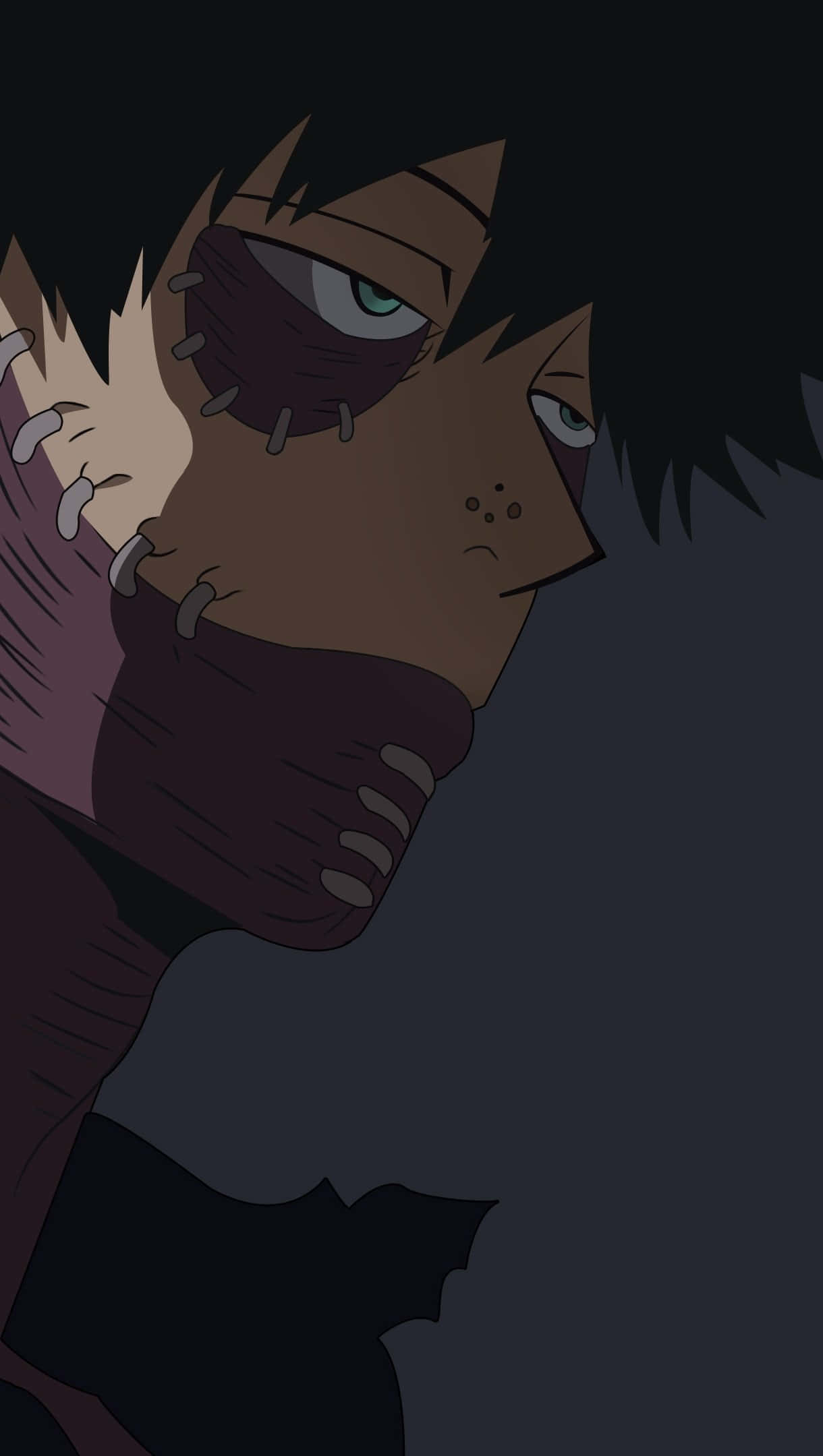 Dabi, Dark Side-view, stitched facial wounds, Full HD Phone Wallpaper