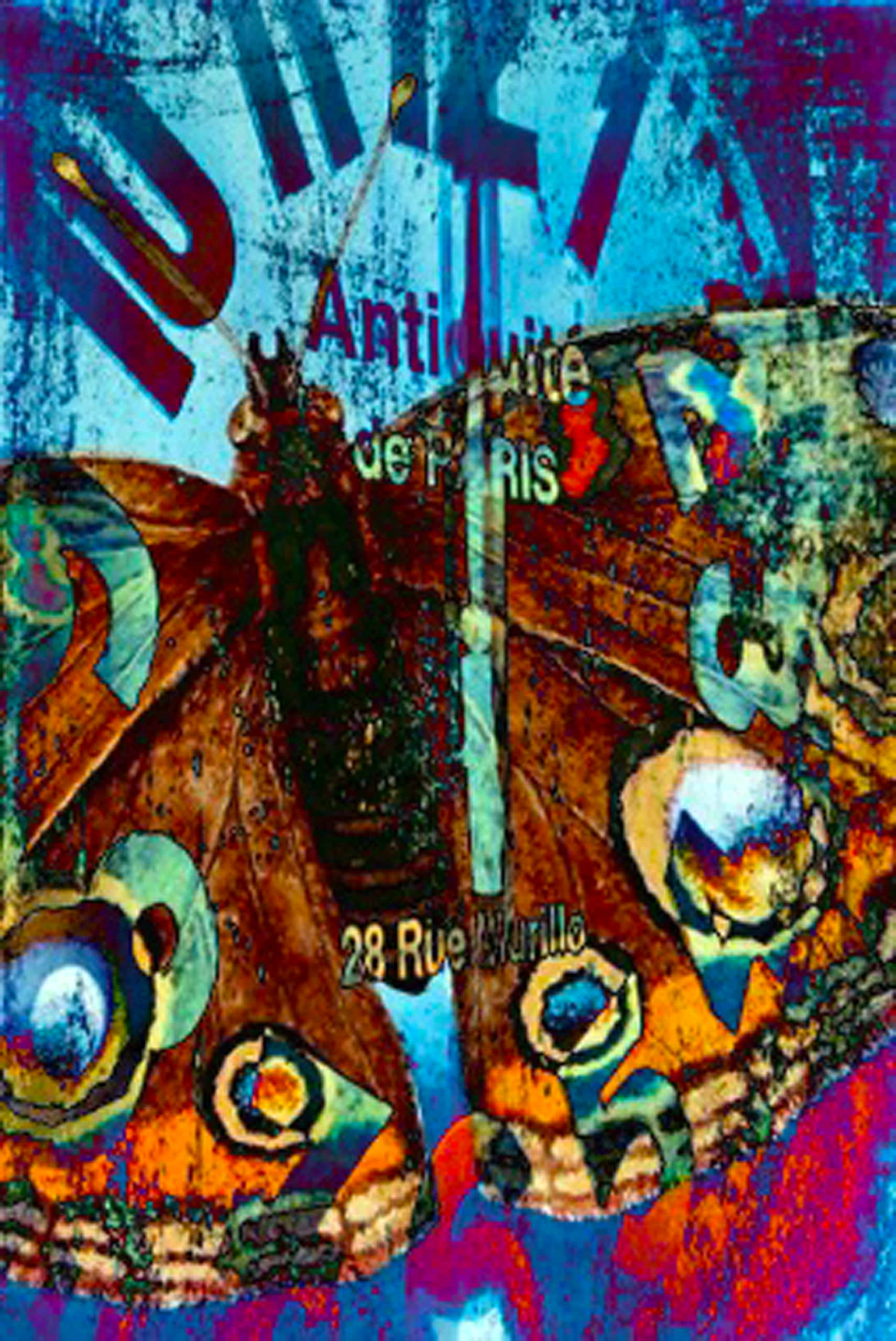 Dadaism, abstract butterfly, eye spots, Full HD Phone Wallpaper