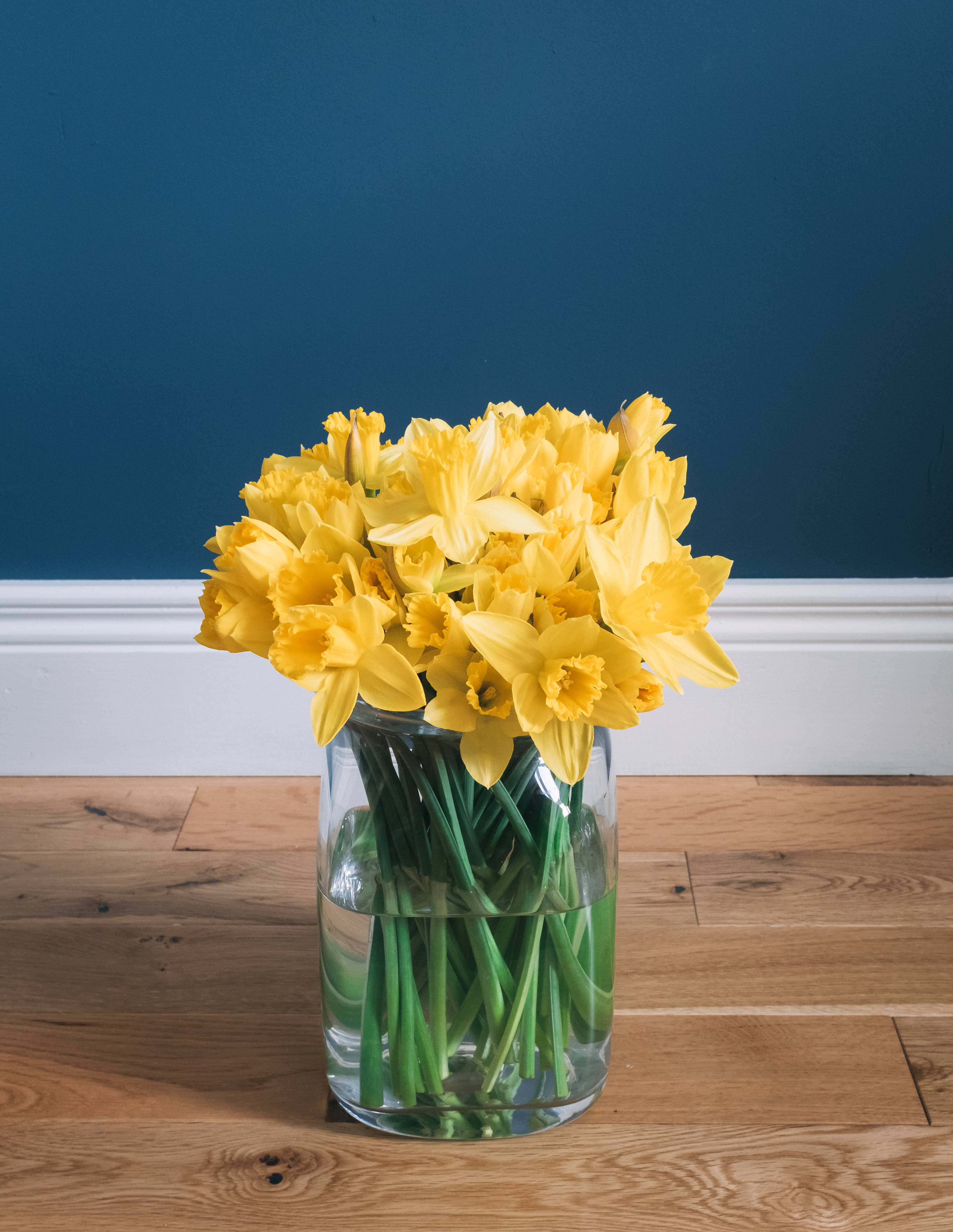 daffodil flower arrangement, yellow daffodils, clear glass vase, 4K Phone Wallpaper