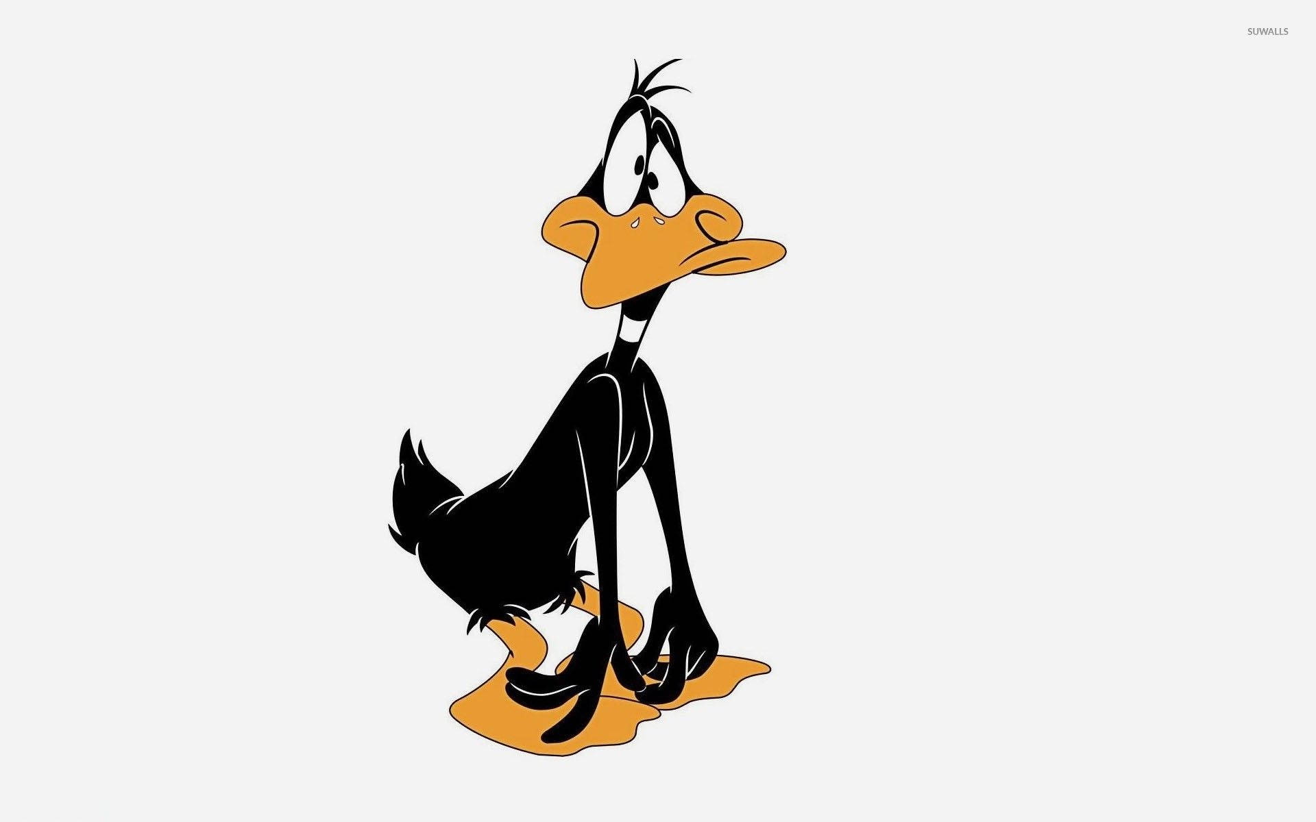 Daffy Duck, black feathers, orange beak, Full HD Desktop Wallpaper