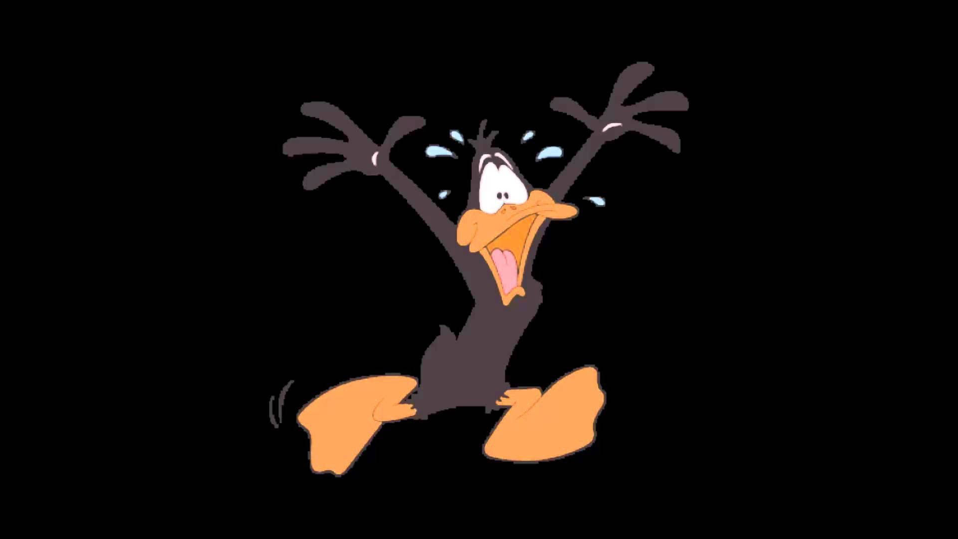 Daffy Duck, cartoon character, frantic screaming pose, Full HD Desktop Wallpaper