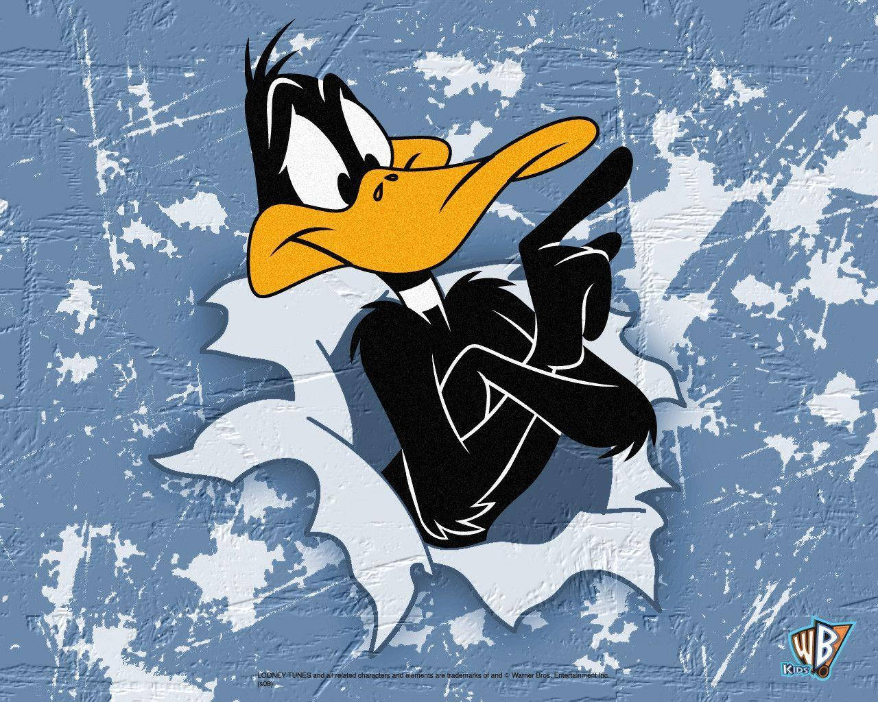 Daffy Duck, blue wall, defiant finger-pointing pose, HD Desktop Wallpaper