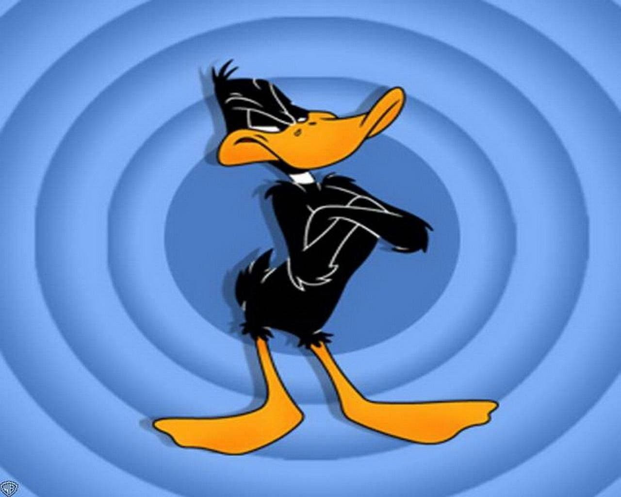 Daffy Duck, blue concentric circle background, arms crossed, HD Desktop Wallpaper