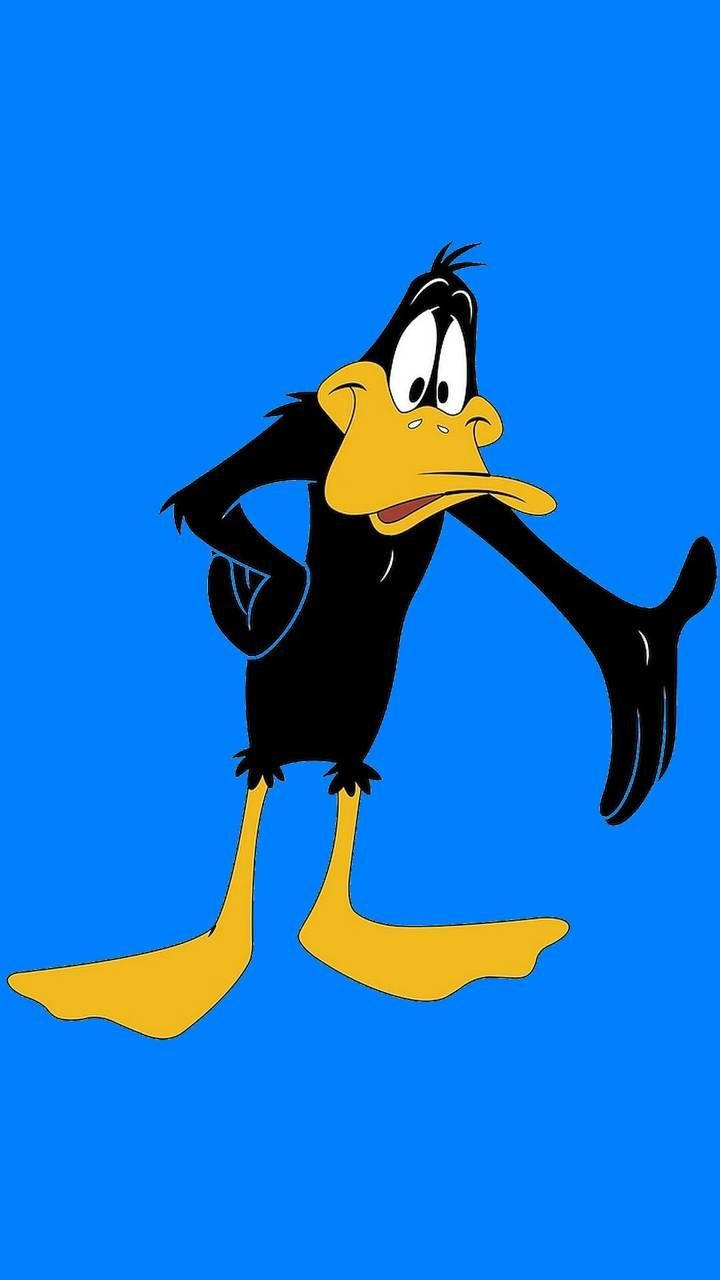 Daffy Duck, black feathers, yellow beak, HD Phone Wallpaper