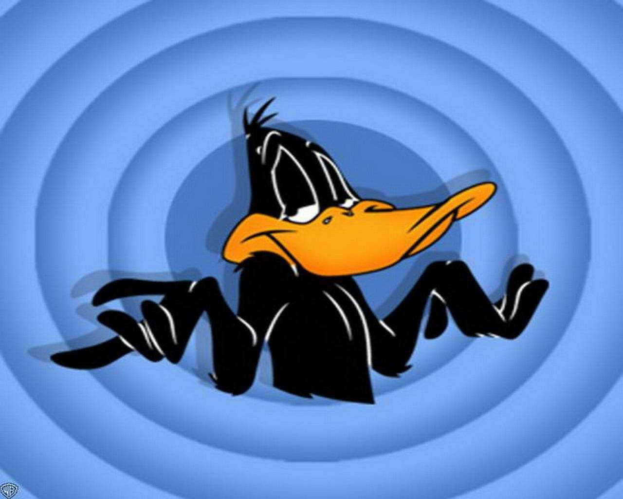 Daffy Duck, classic cartoon style, dizzy, HD Desktop Wallpaper