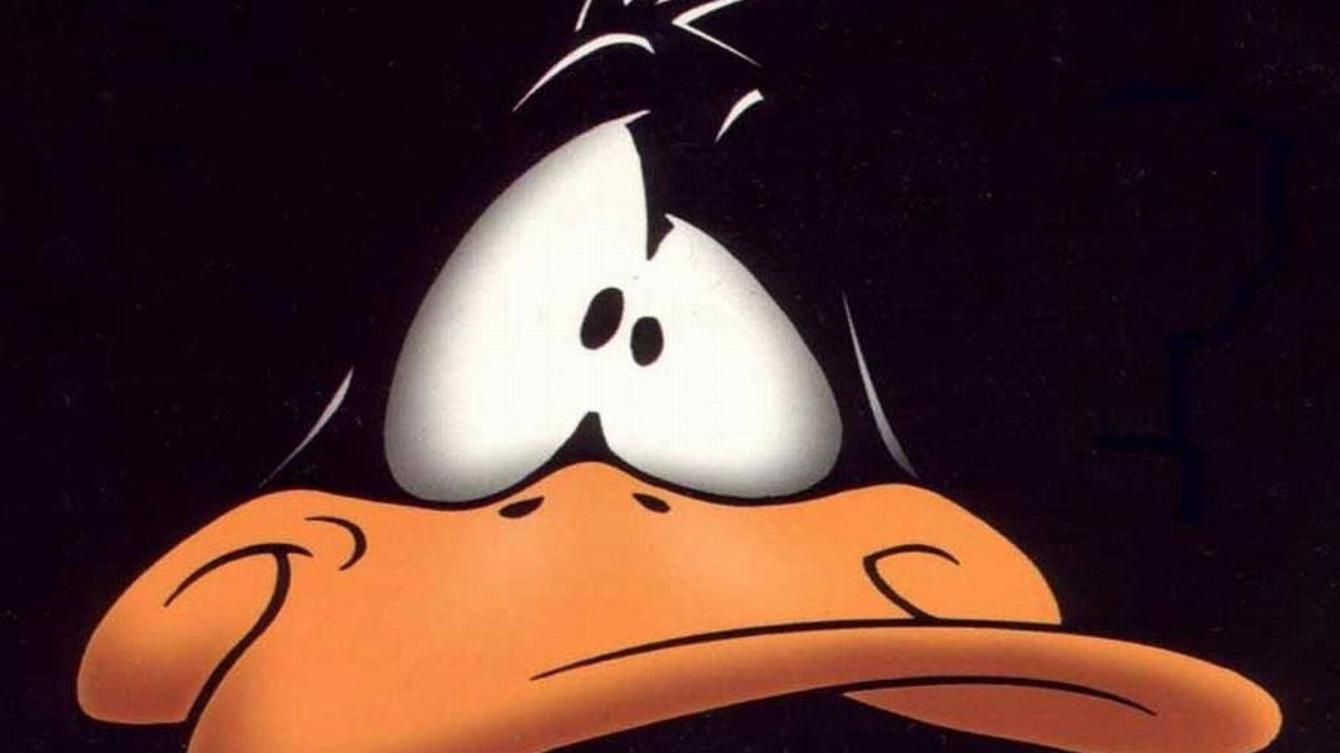Daffy Duck, cartoon duck, wide eyes, Full HD Desktop Wallpaper