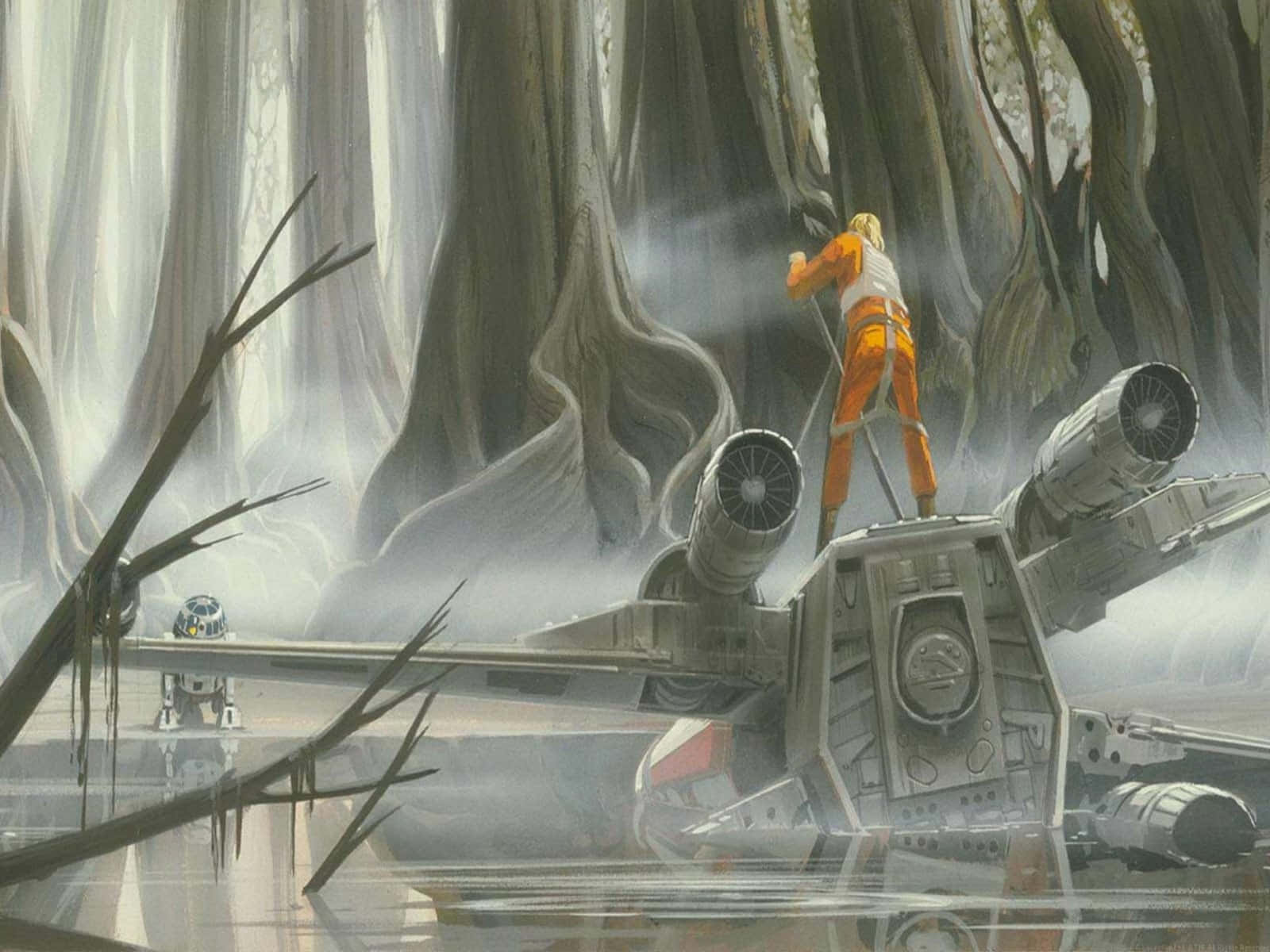 Dagobah, swamp, crashed starfighter, HD Desktop Wallpaper