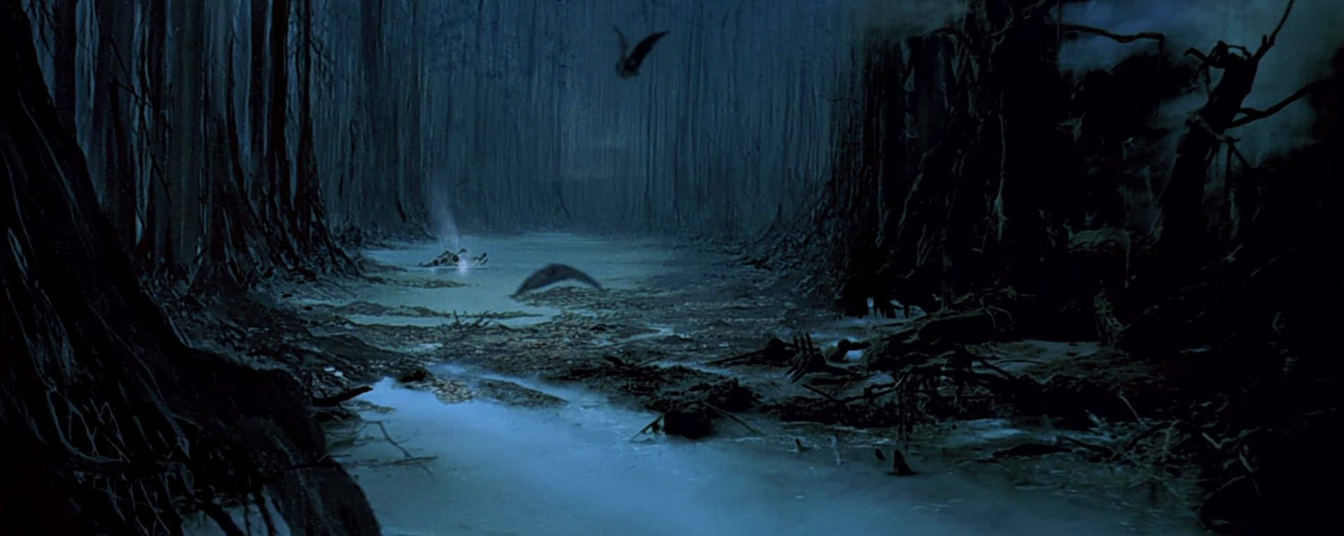 Dagobah, swamp, night, Full HD Desktop Wallpaper