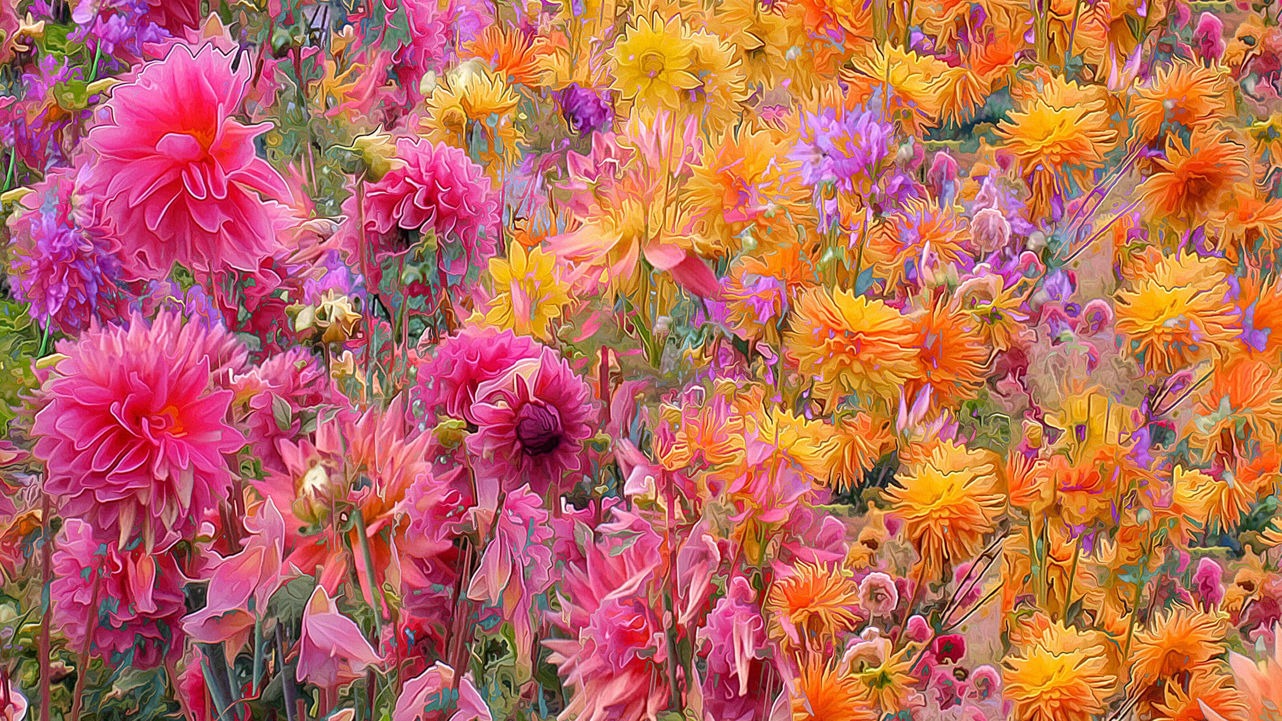 Dahlia, pink, orange, 2K Desktop Wallpaper