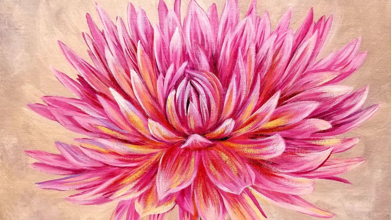 Dahlia, vibrant pink, orange-yellow accents, HD Desktop Wallpaper