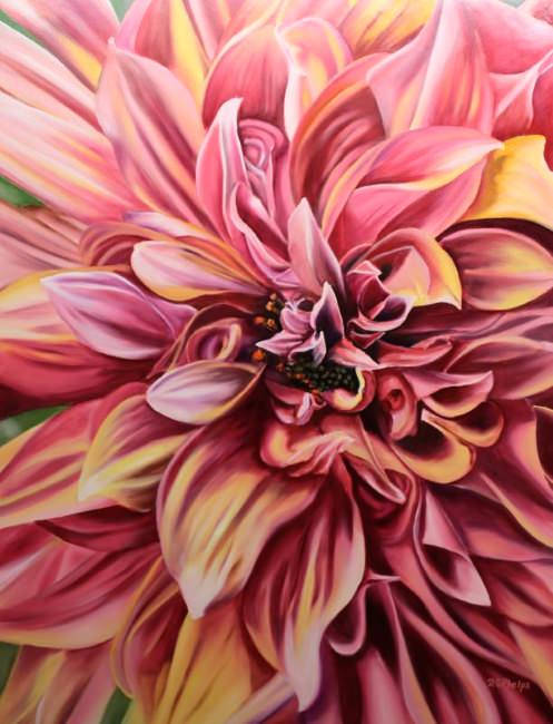 pink dahlia blossom, oil painting, layered petals, SD Phone Wallpaper