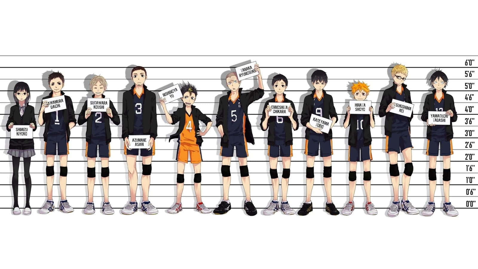 Daichi Sawamura, volleyball team, height chart lineup, HD Desktop Wallpaper