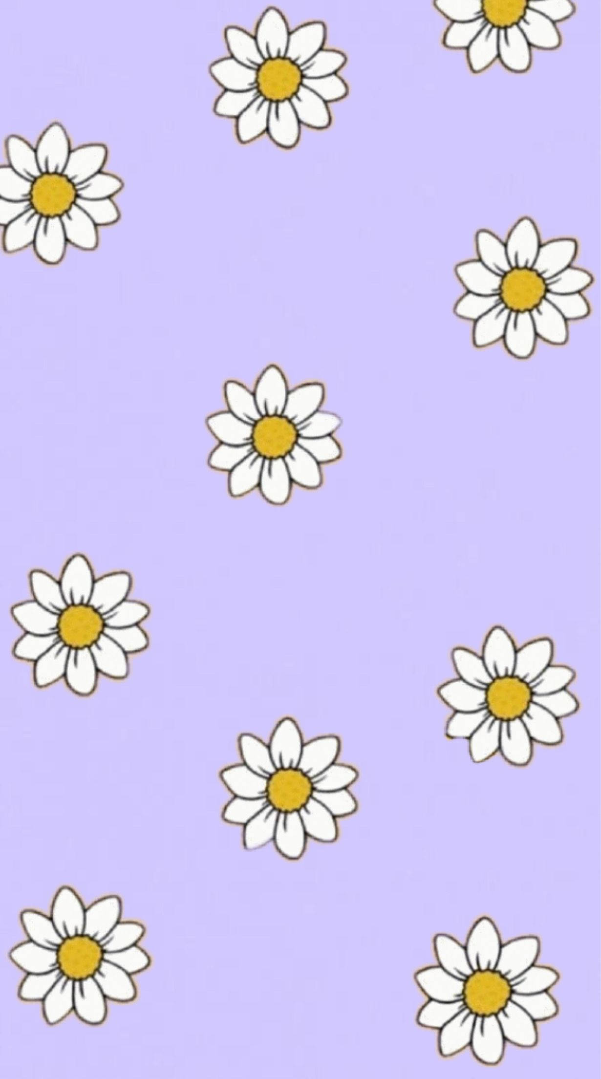 Daisy Aesthetic, lavender, white daisies, Full HD Phone Wallpaper