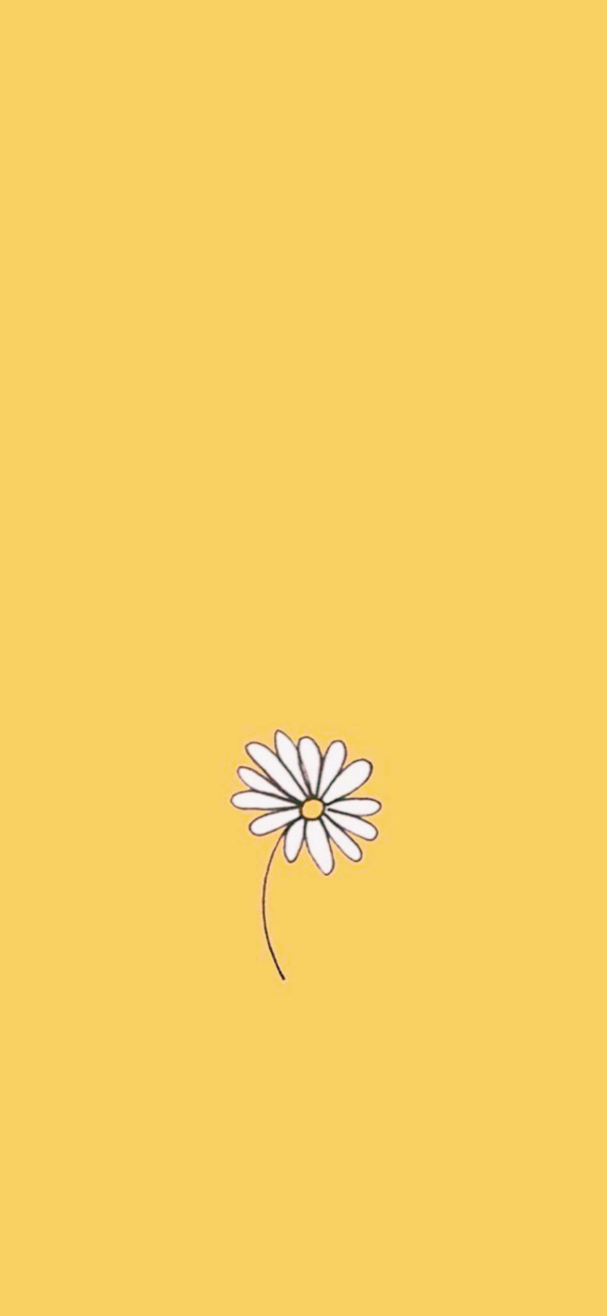 cool yellow, white daisy, thin stem, 4K Phone Wallpaper