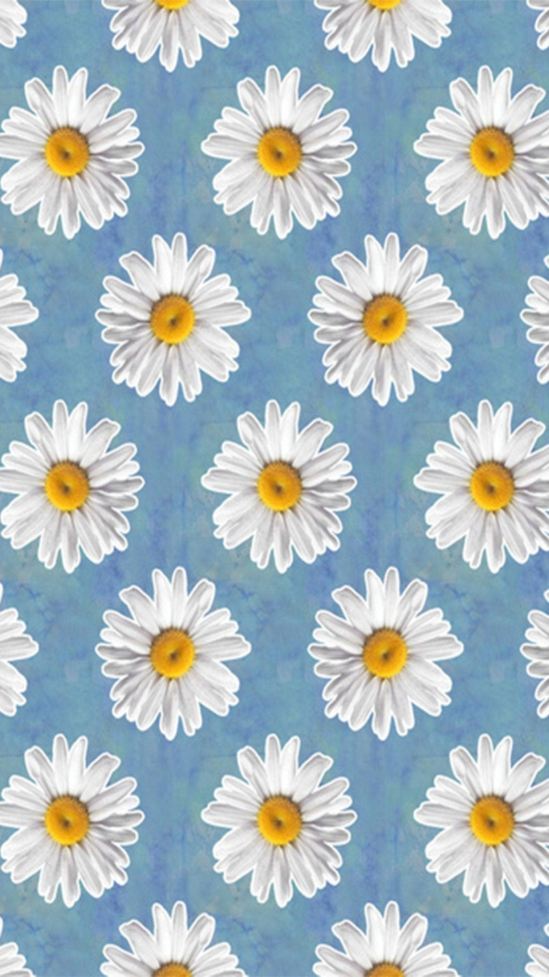 Cartoon Daisy Aesthetic, blue, white daisies, Full HD Phone Wallpaper