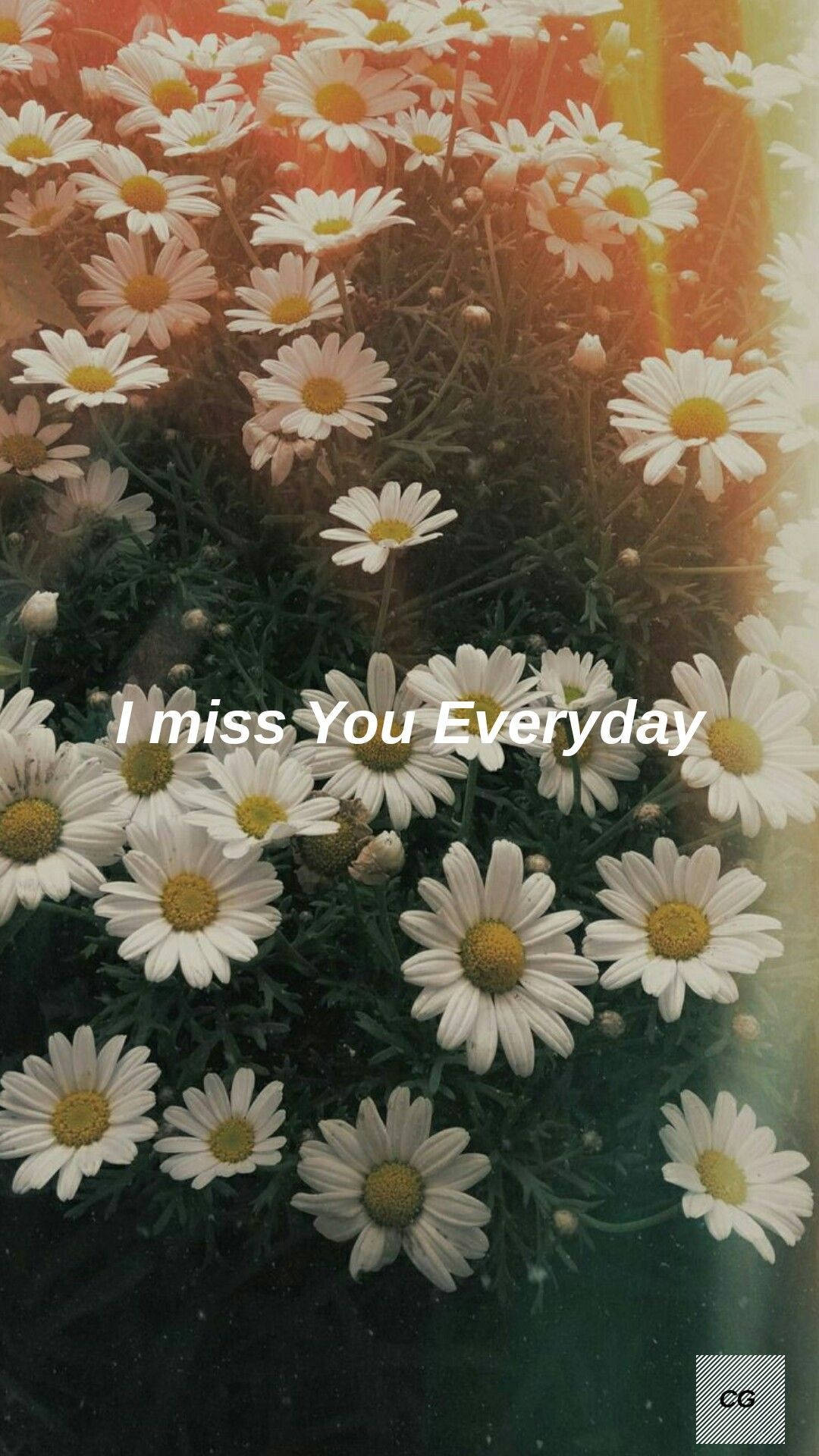 Daisy Aesthetic, white daisies, yellow centers, Full HD Phone Wallpaper
