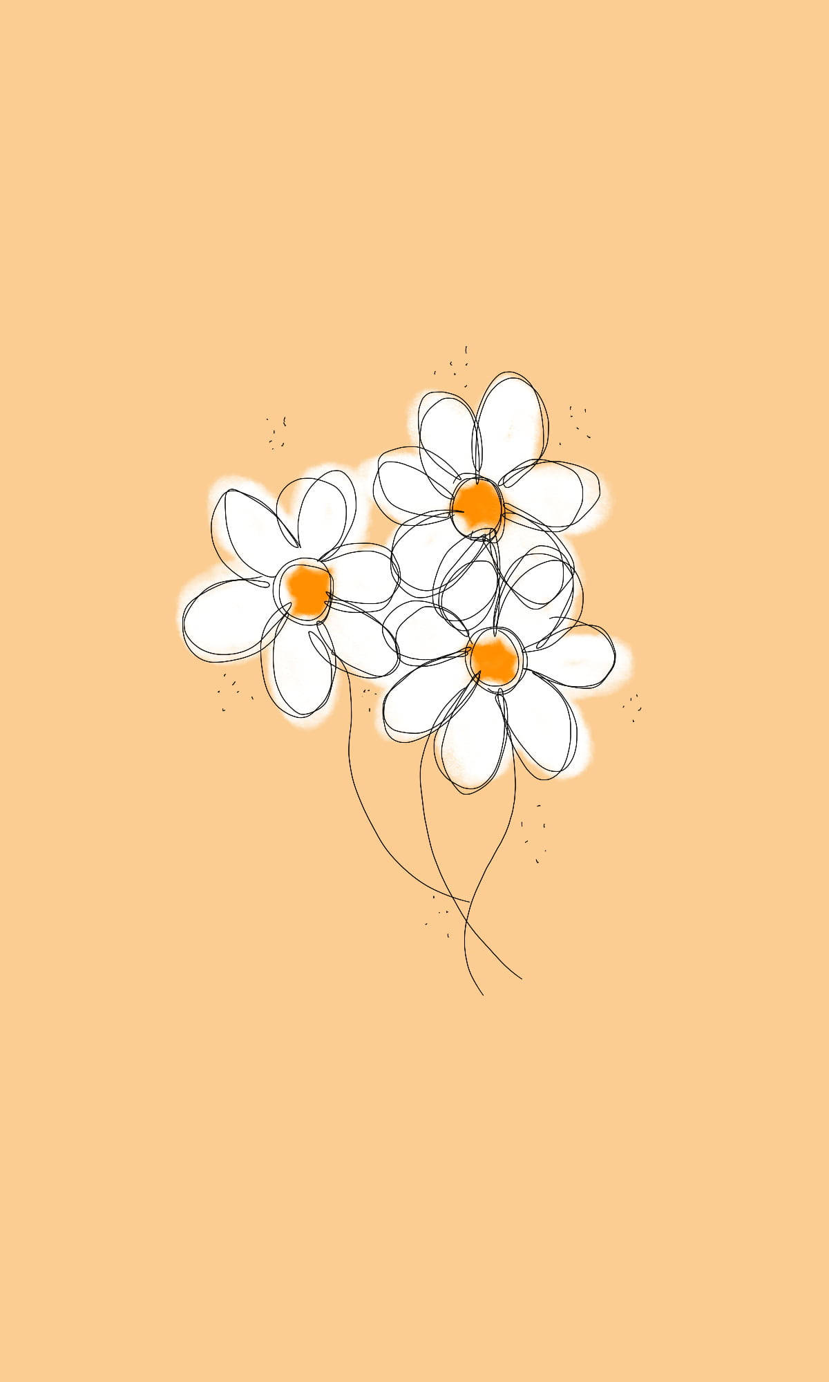 white daisy aesthetic, daisies, orange centers, Full HD Phone Wallpaper