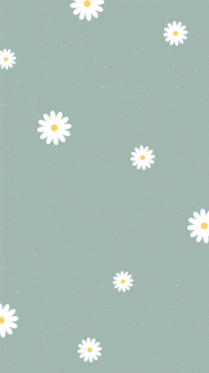 Pale Green White Daisy Aesthetic, white daisies, yellow centers, SD Phone Wallpaper
