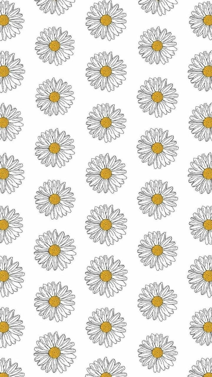 white daisy aesthetic pattern art, repeating hand-drawn daisies, yellow centers, HD Phone Wallpaper