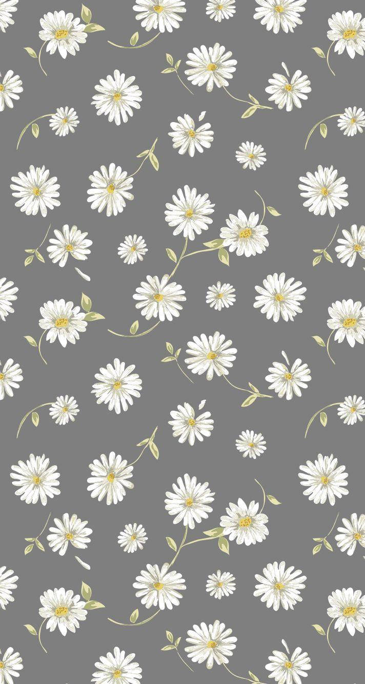 White Daisy Aesthetic, white daisies, yellow centers, HD Phone Wallpaper