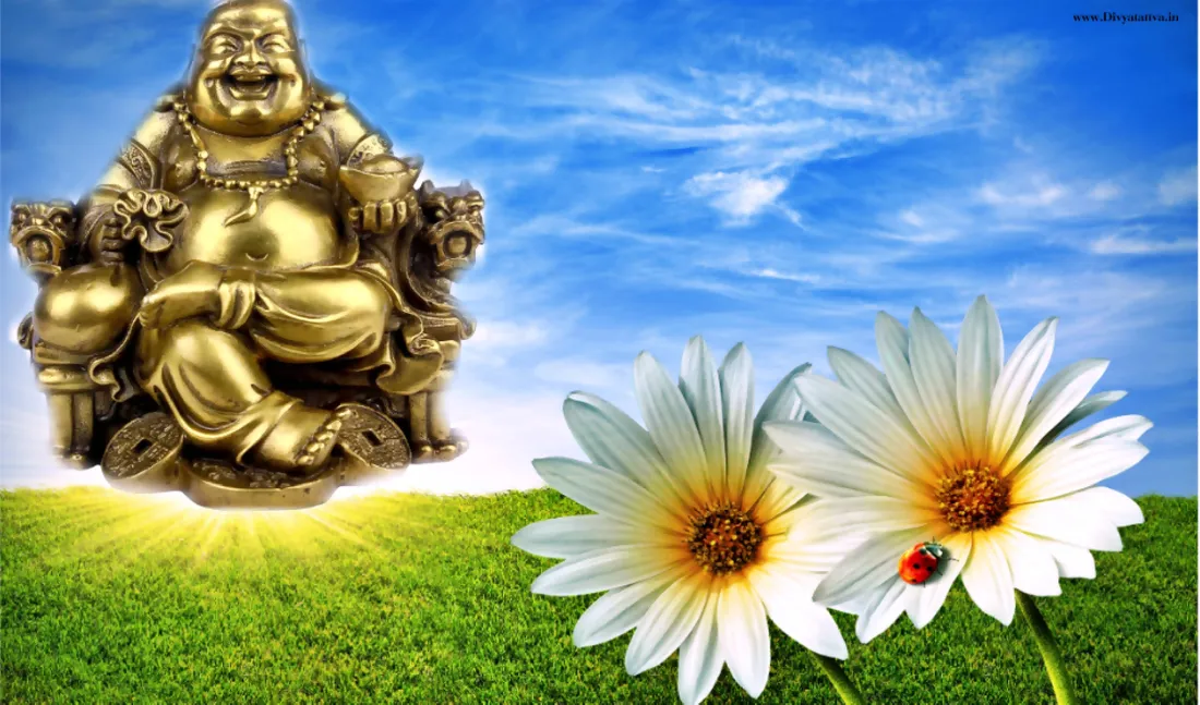 Daisy Flower Wallpapers