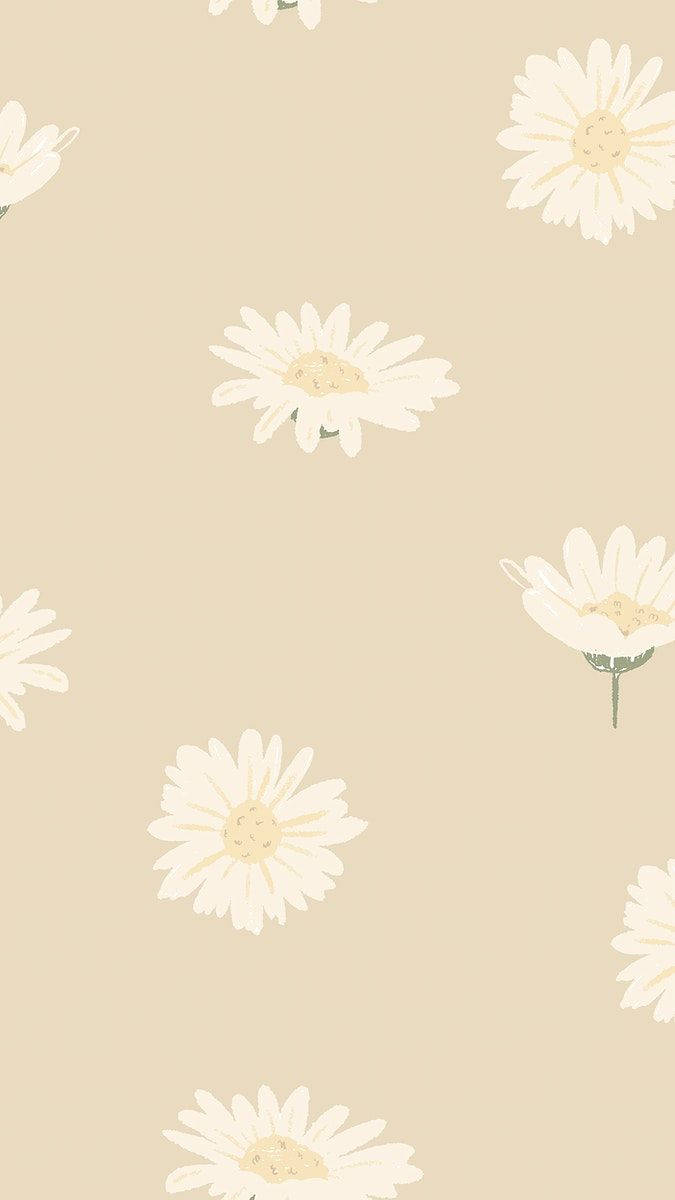 Daisy iPhone, white daisies, yellow centers, SD Phone Wallpaper