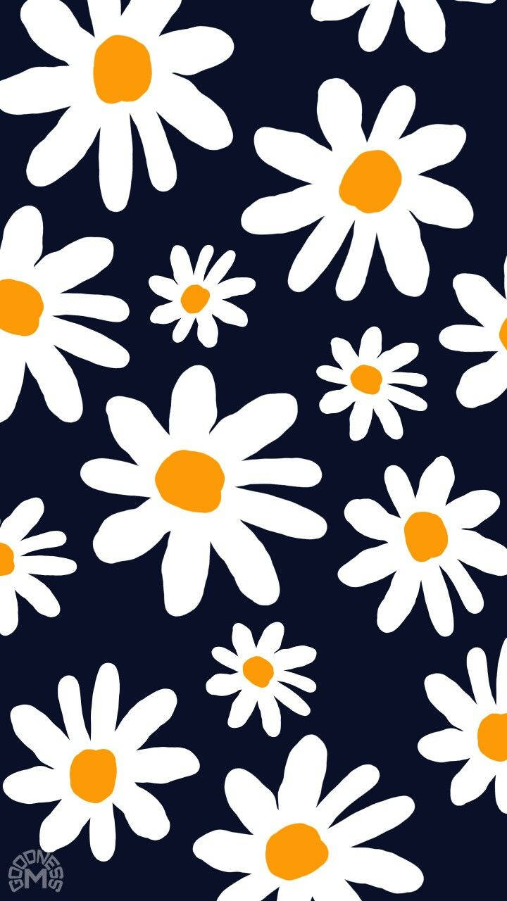 Daisy iPhone, dark blue background, white daisies, HD Phone Wallpaper