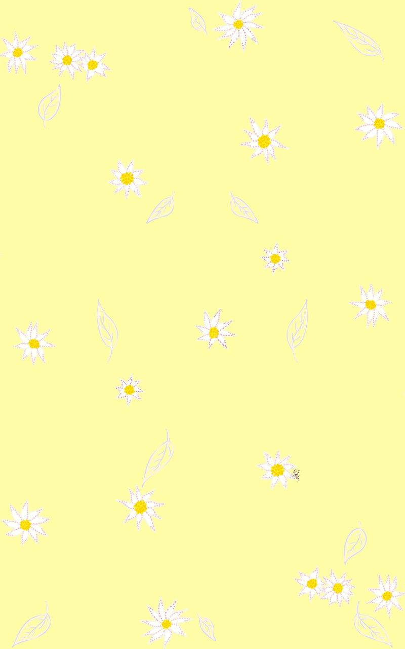 daisy flowers, pastel yellow aesthetic, white daisies, HD Phone Wallpaper